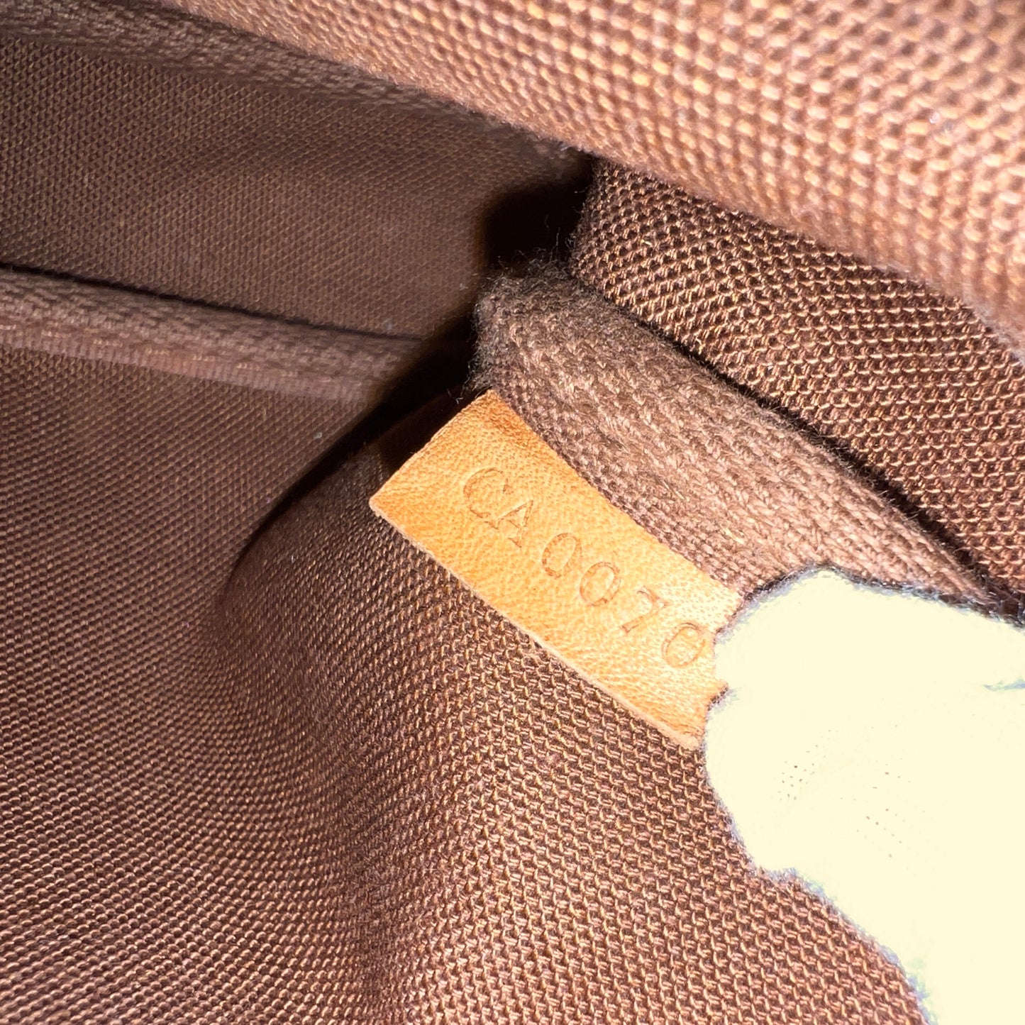 LOUIS VUITTON Accessory Pochette (CA0070)