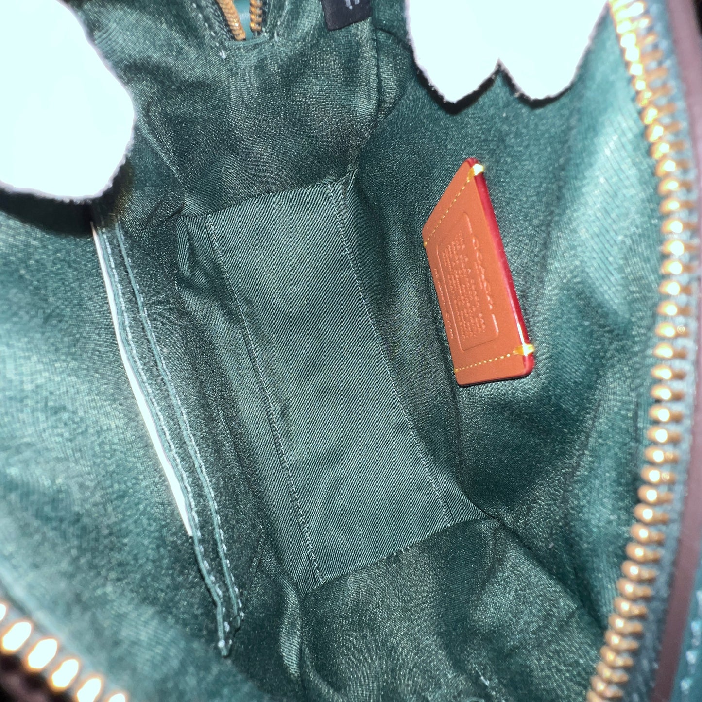 COACH (New) With Dustbag
