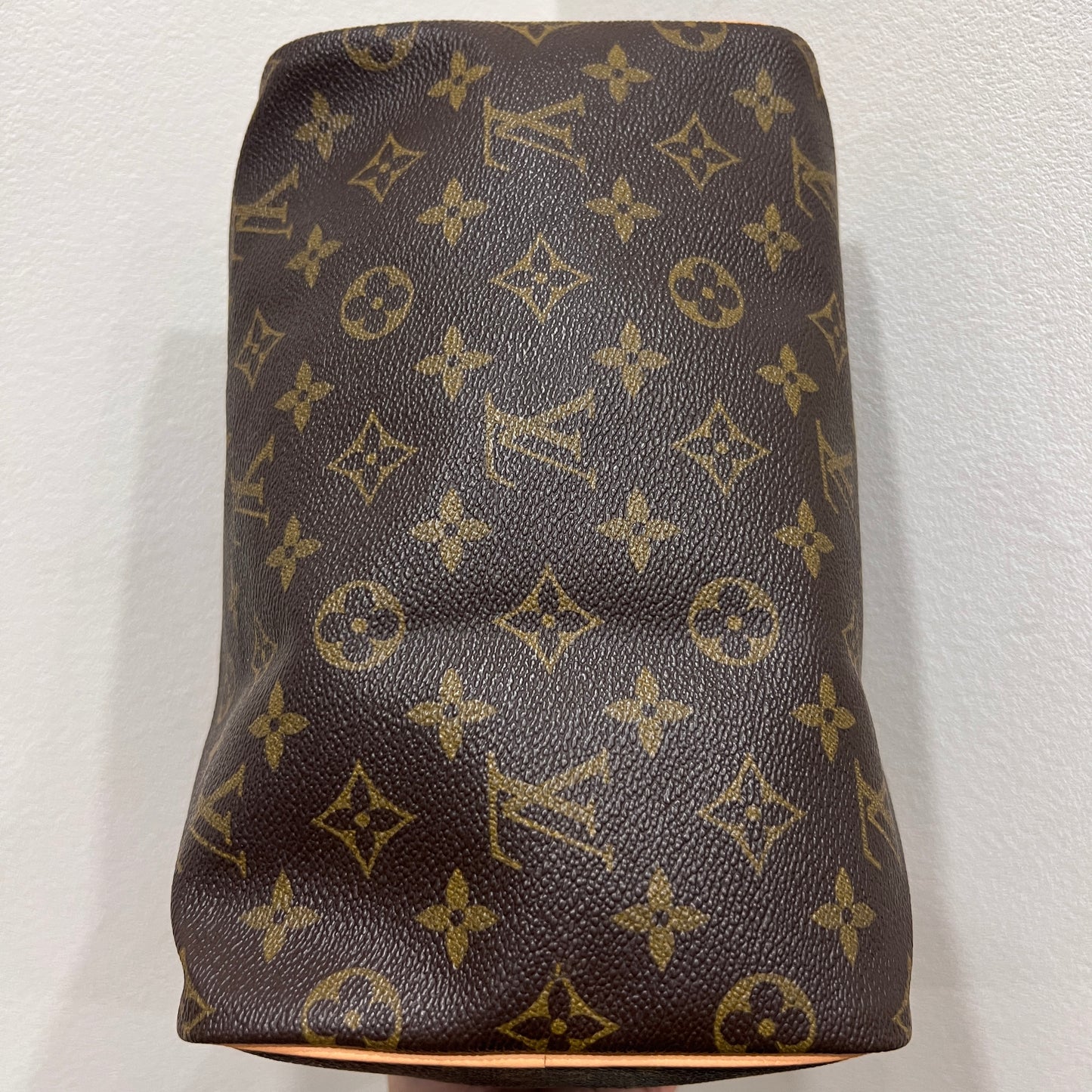 LOUIS VUITTON Speedy 25 (Vachetta Replaced!)