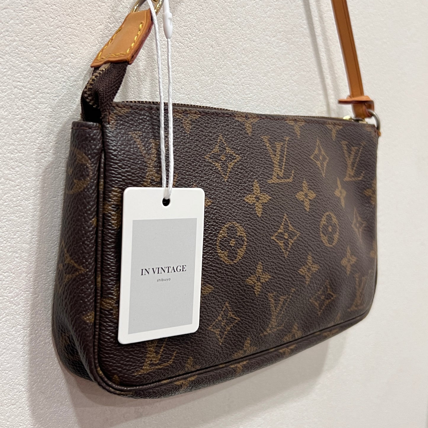 LOUIS VUITTON Accessory Pochette (CA0070)