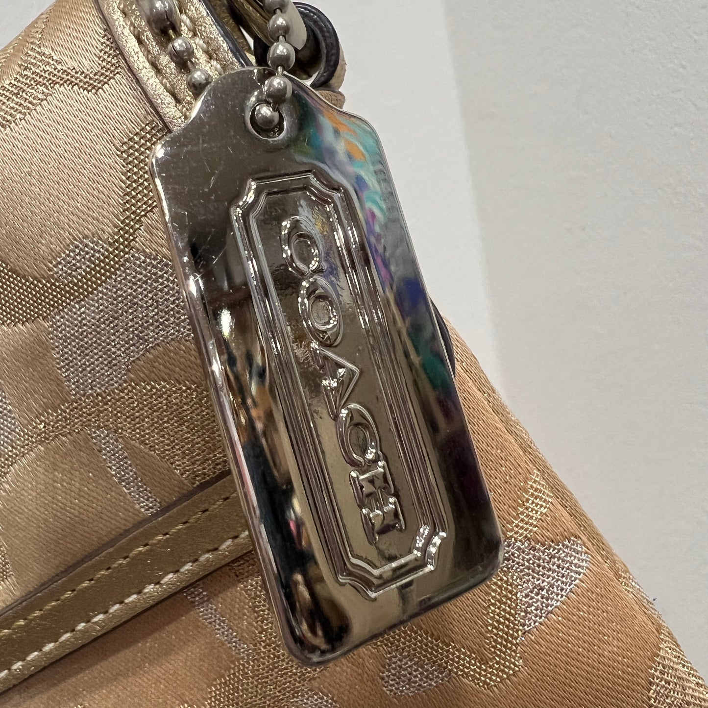 COACH Optic Signature Hook Demi Pouch Bag