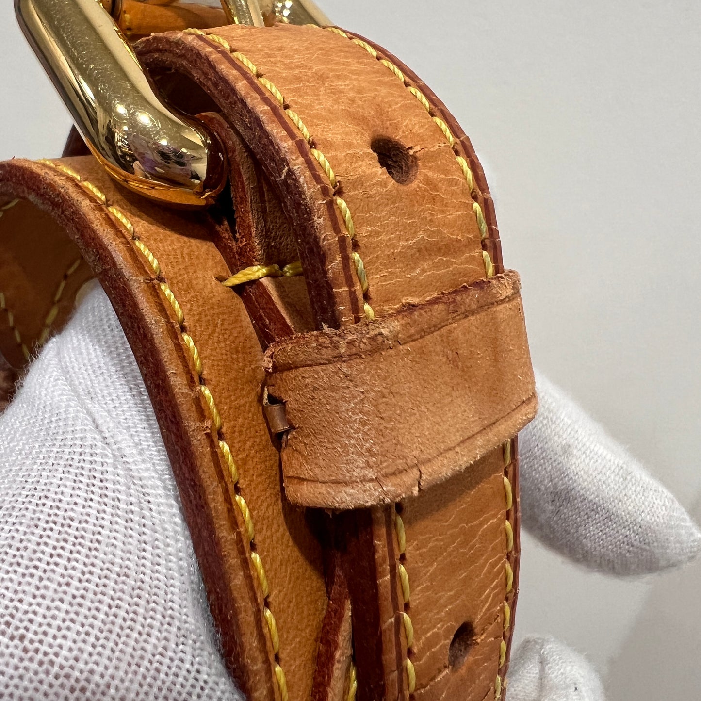 LOUIS VUITTON X Murakami Noe Multicolored