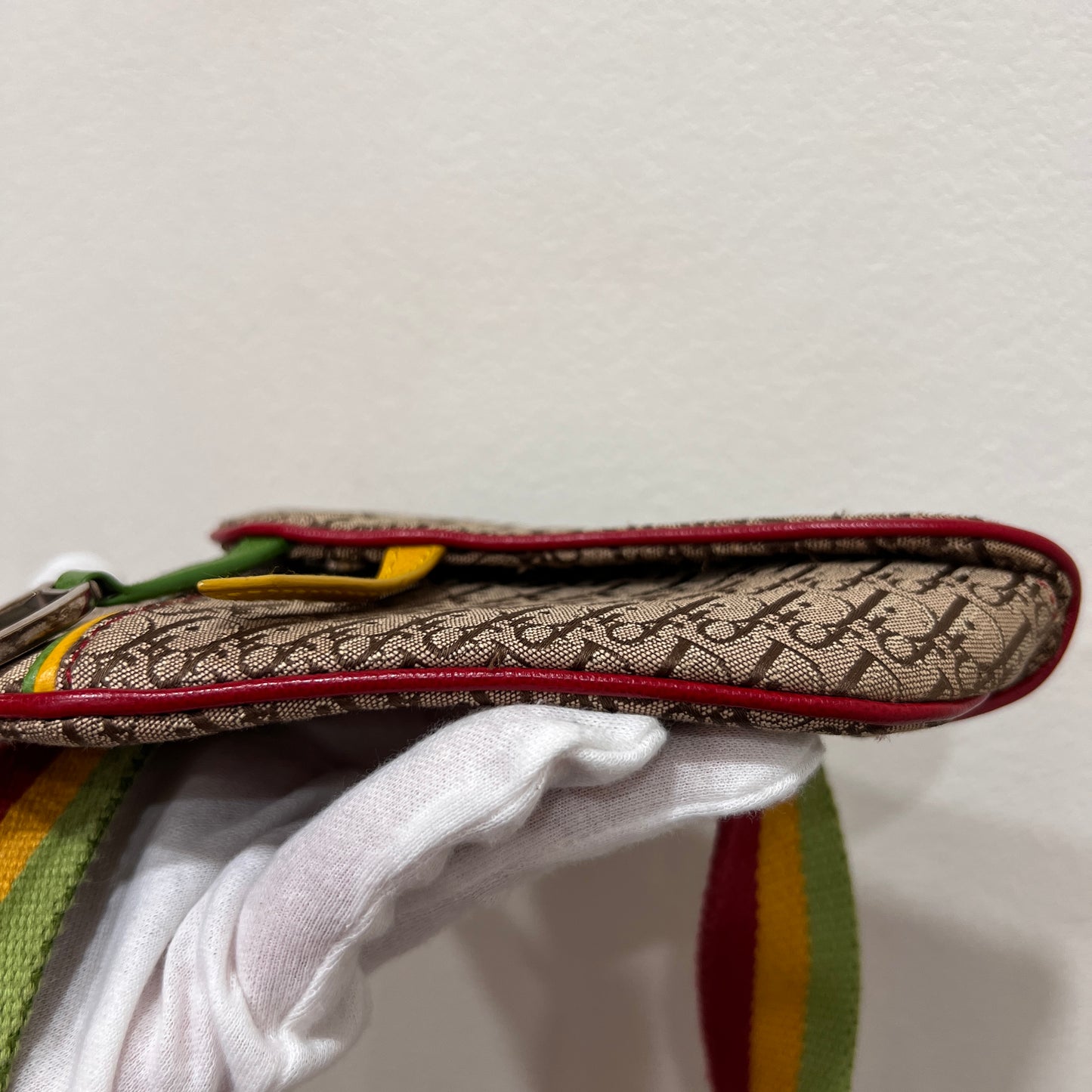 DIOR Rasta Trotter Belt Bag