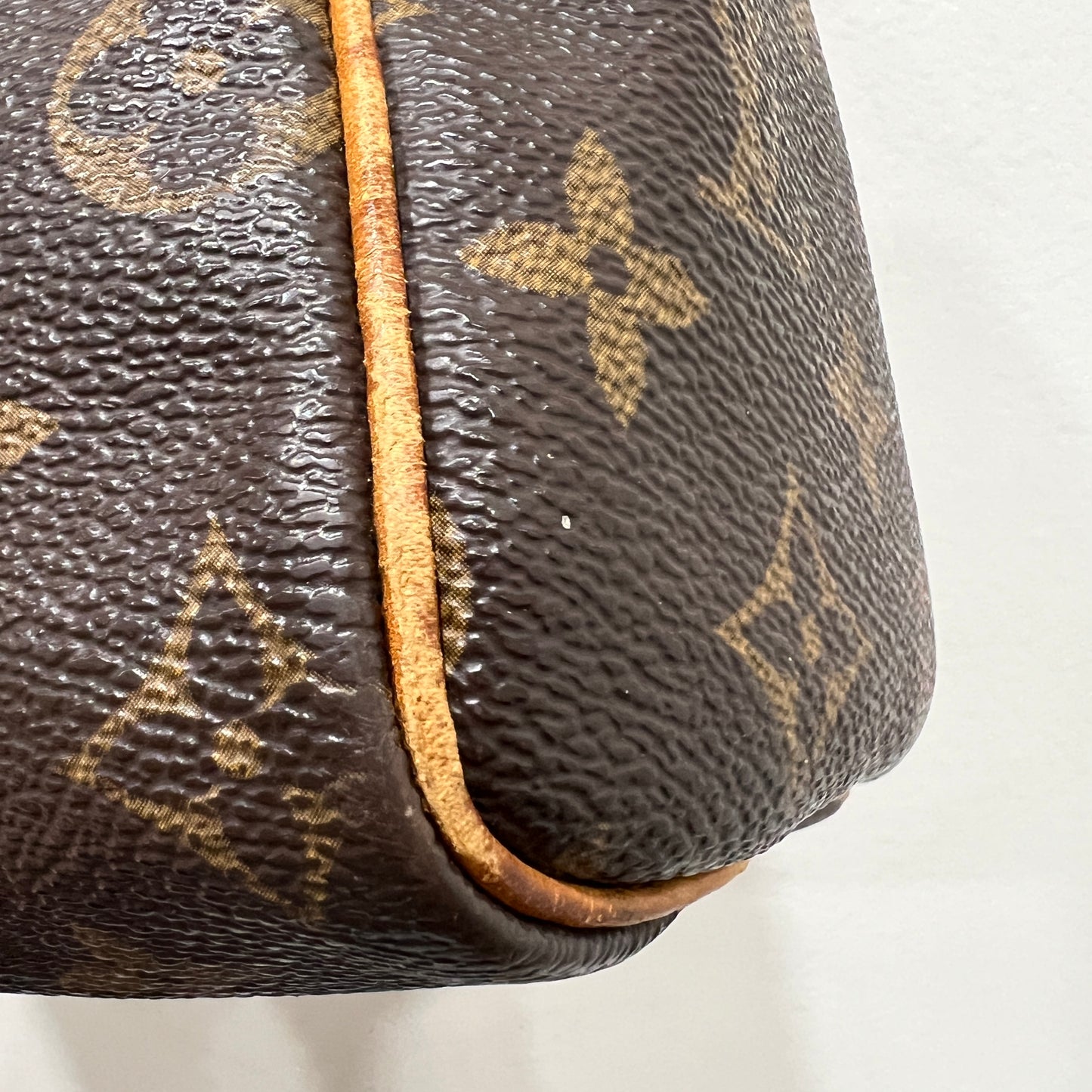 LOUIS VUITTON Speedy 25 cm