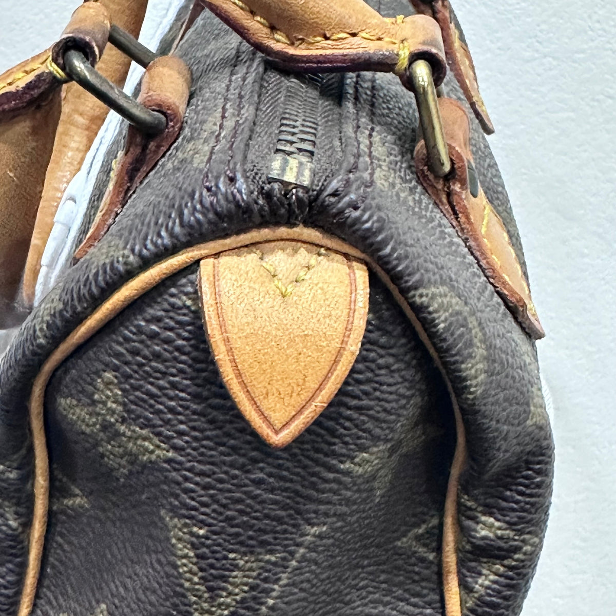 LOUIS VUITTON Nano Speedy Monogram