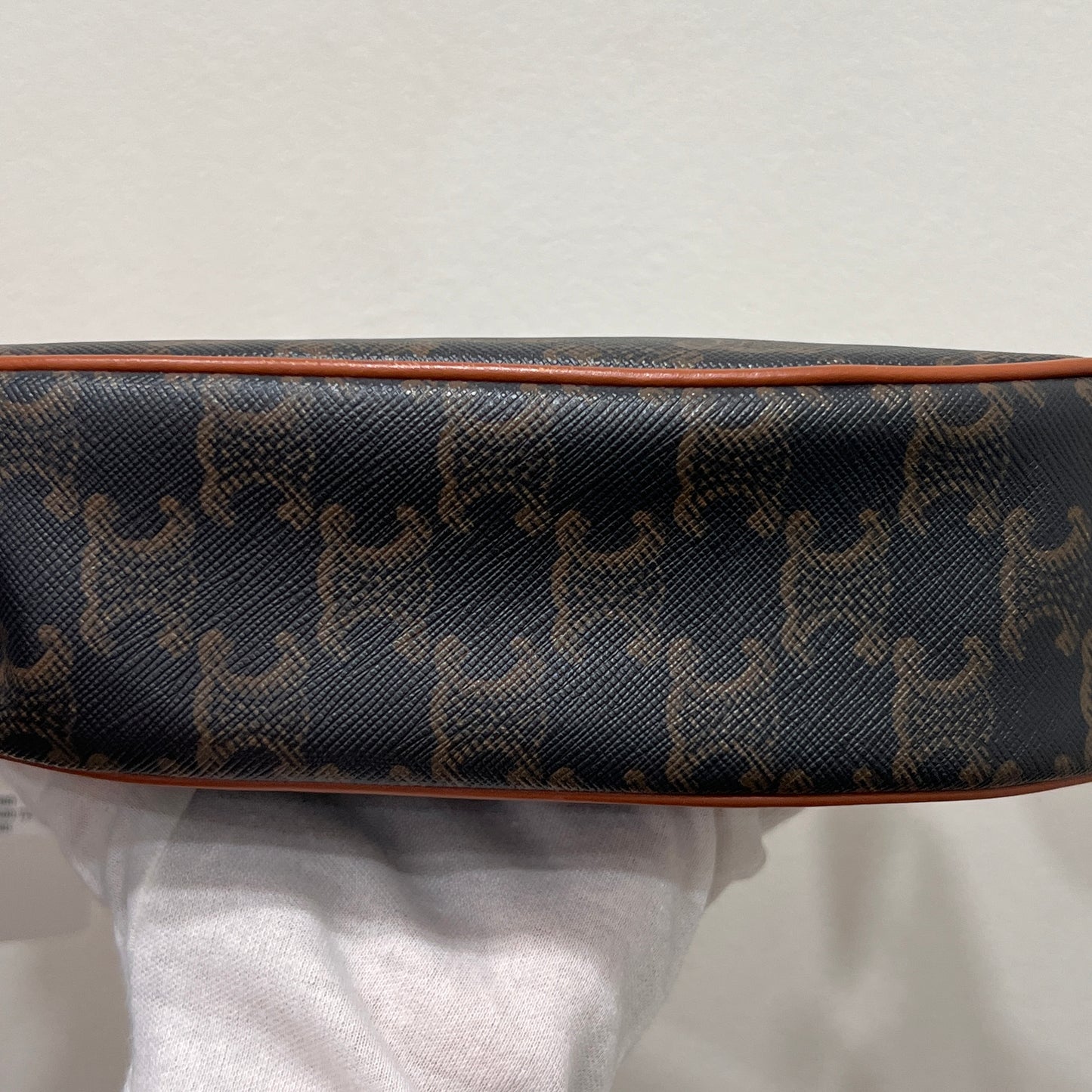 CELINE Ava Bag Triomphe Canvas
