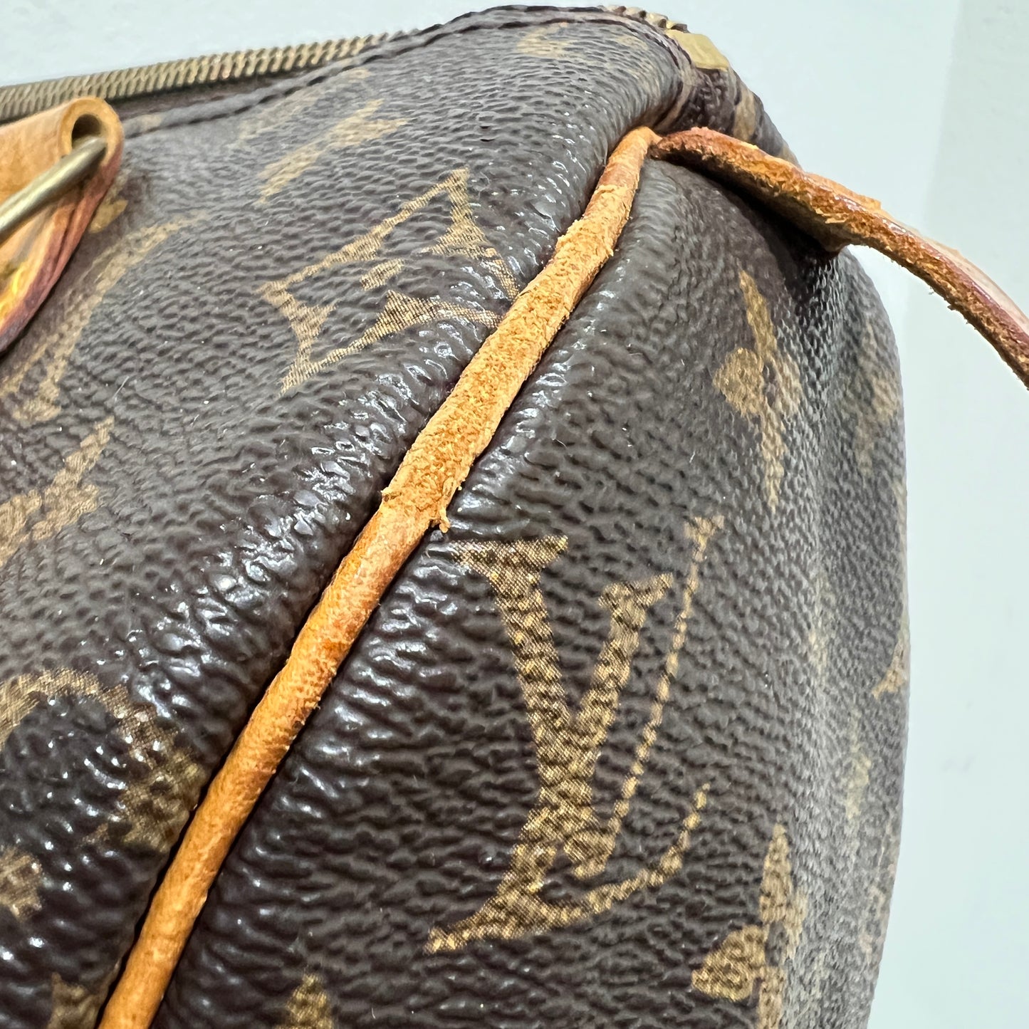 LOUIS VUITTON Speedy 25 cm