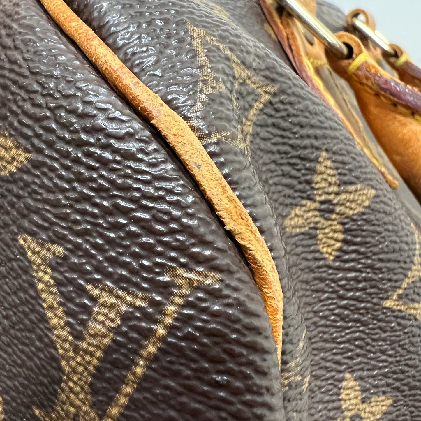 LOUIS VUITTON Speedy 25 cm