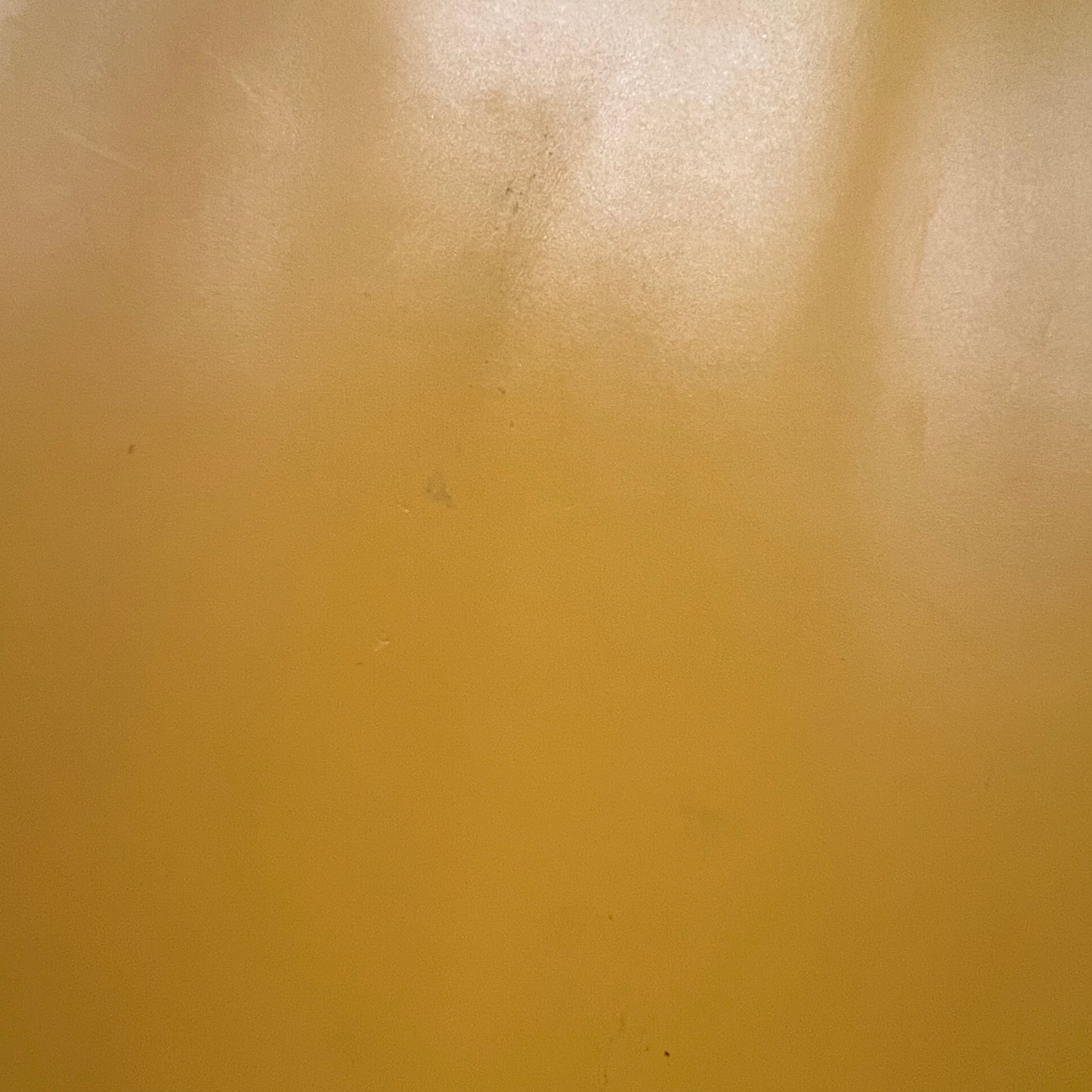 LOUIS VUITTON Triangular Sac Epi Leather Bag