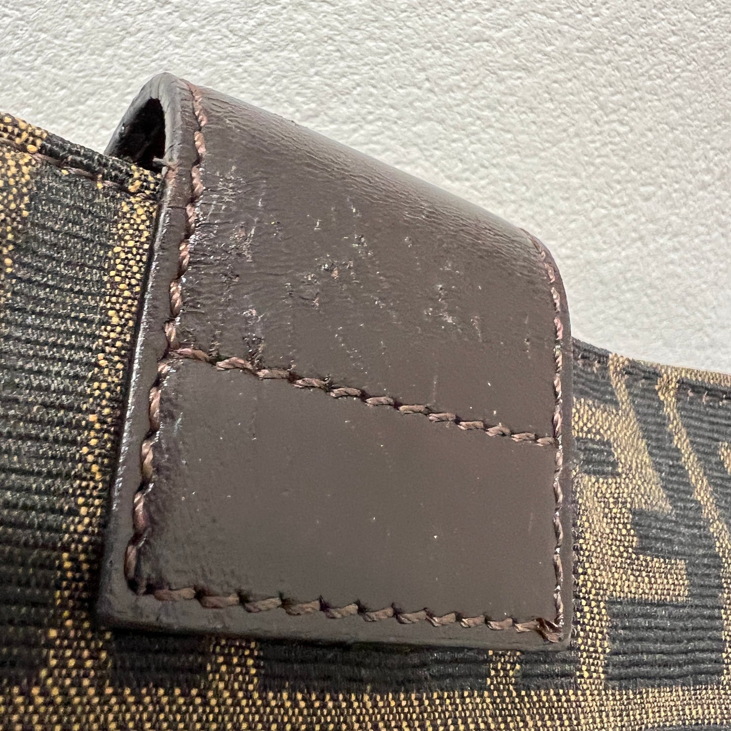 FENDI Baguette Crossbody Zucca Canvas