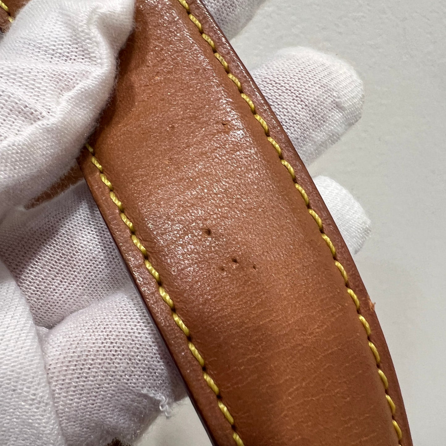 LOUIS VUITTON Tambourin 2019’s