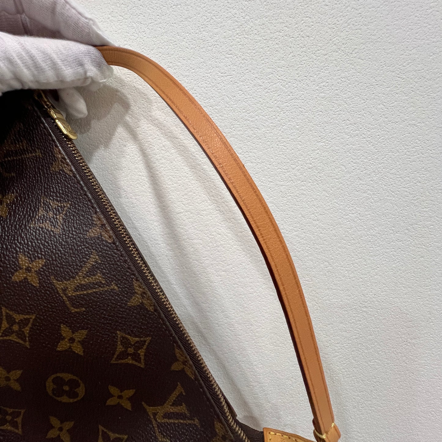 LOUIS VUITTON Accessory Pochette (CA0070)