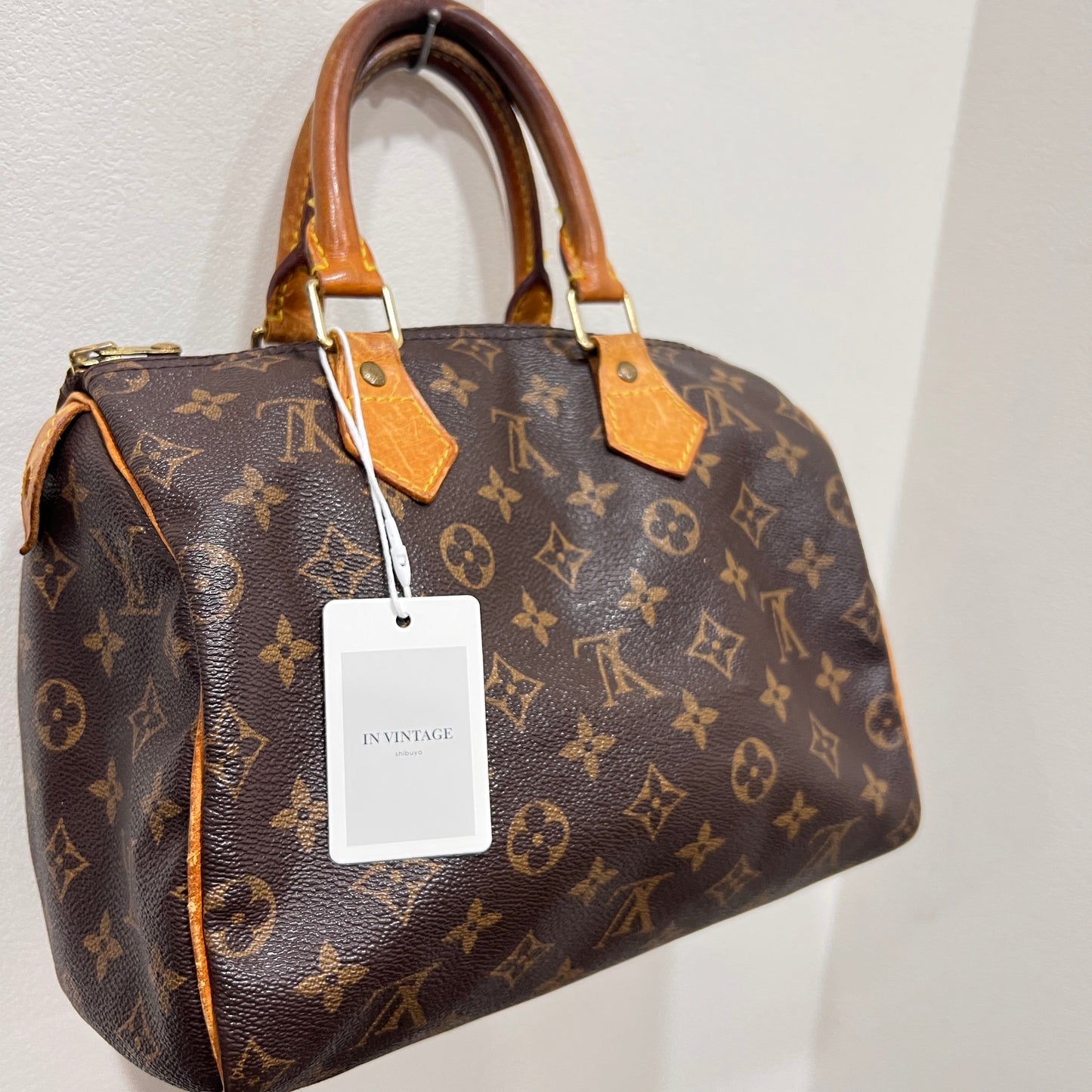 LOUIS VUITTON Speedy 25 cm
