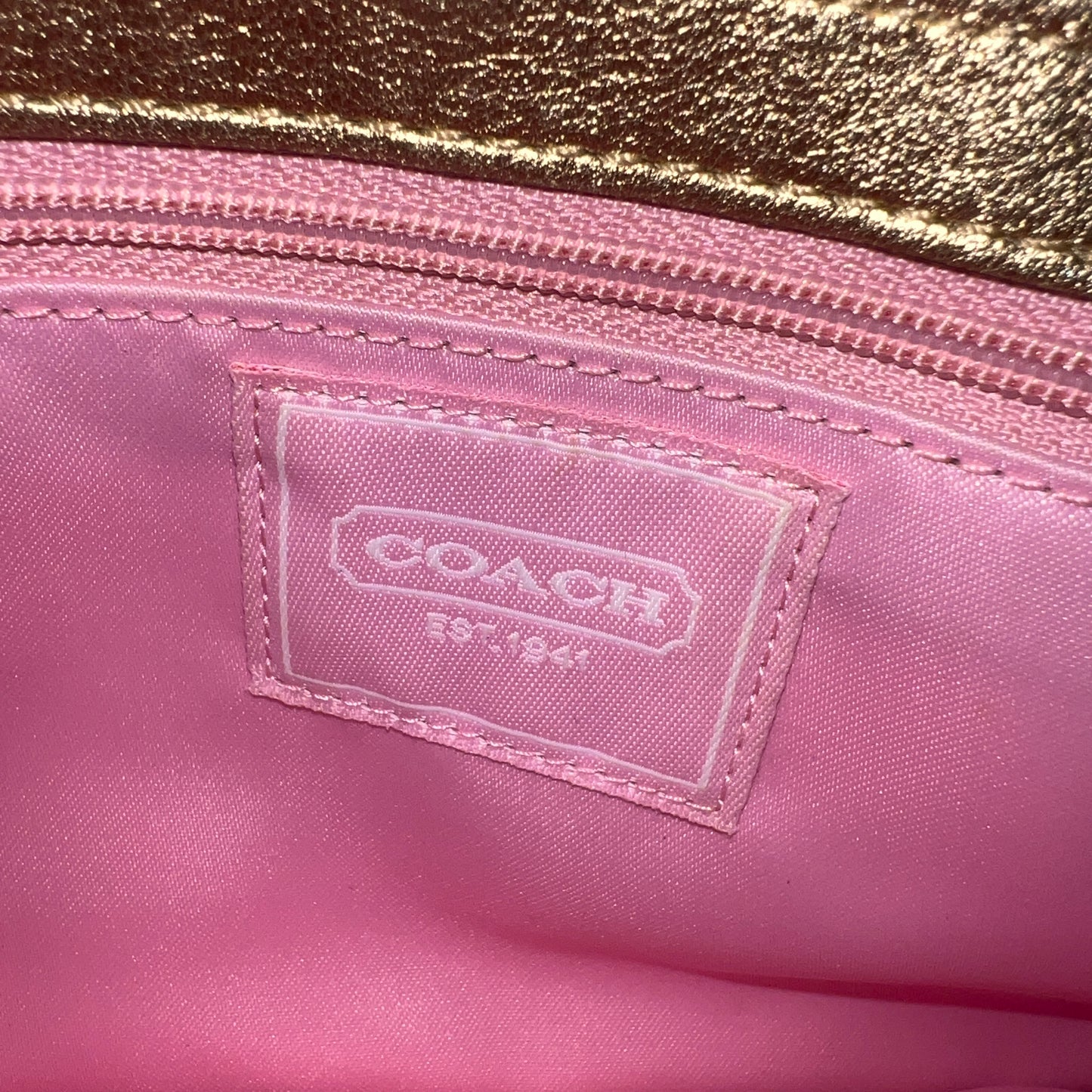 COACH Optic Signature Hook Demi Pouch Bag