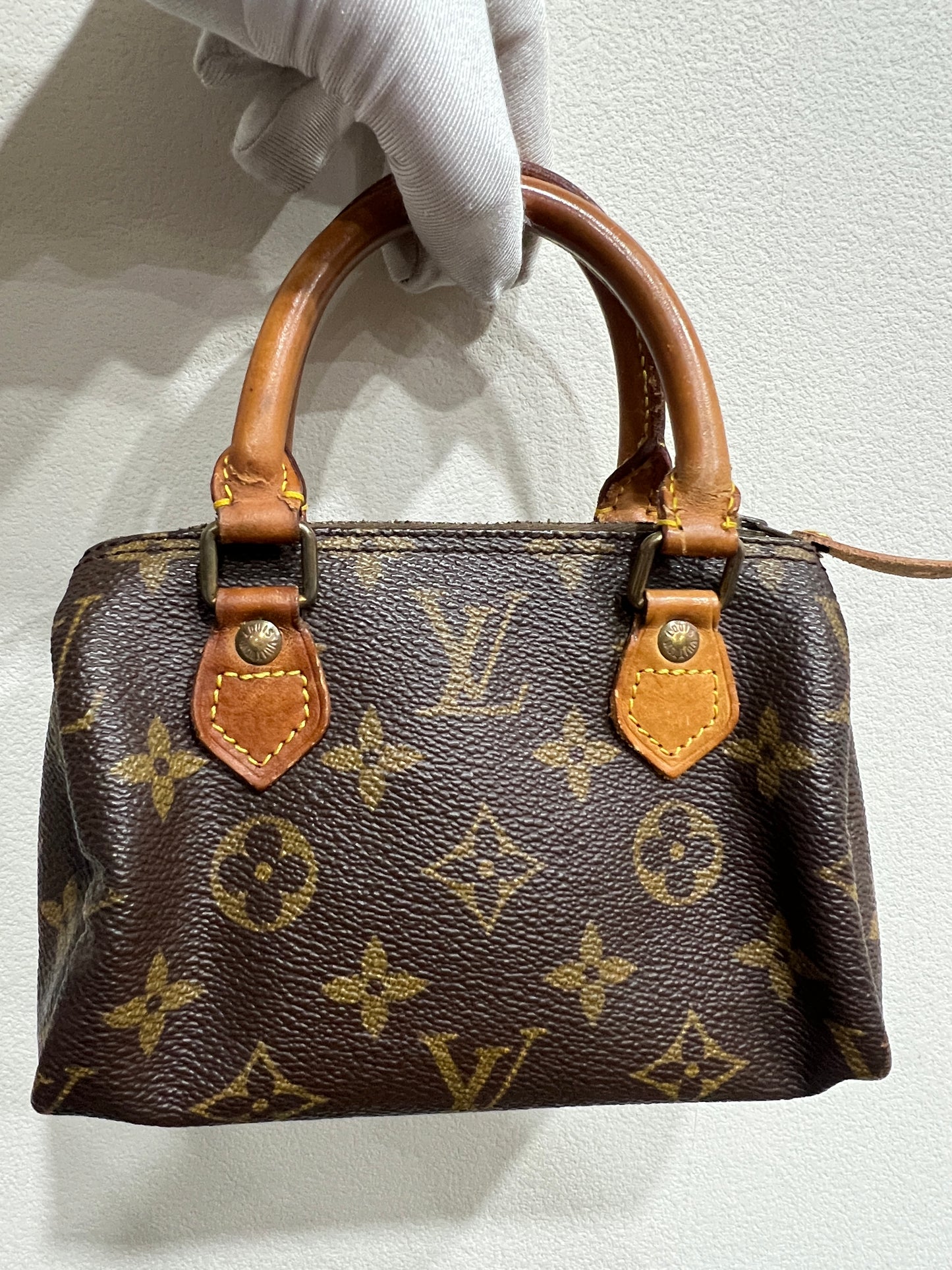 LOUIS VUITTON Nano Speedy