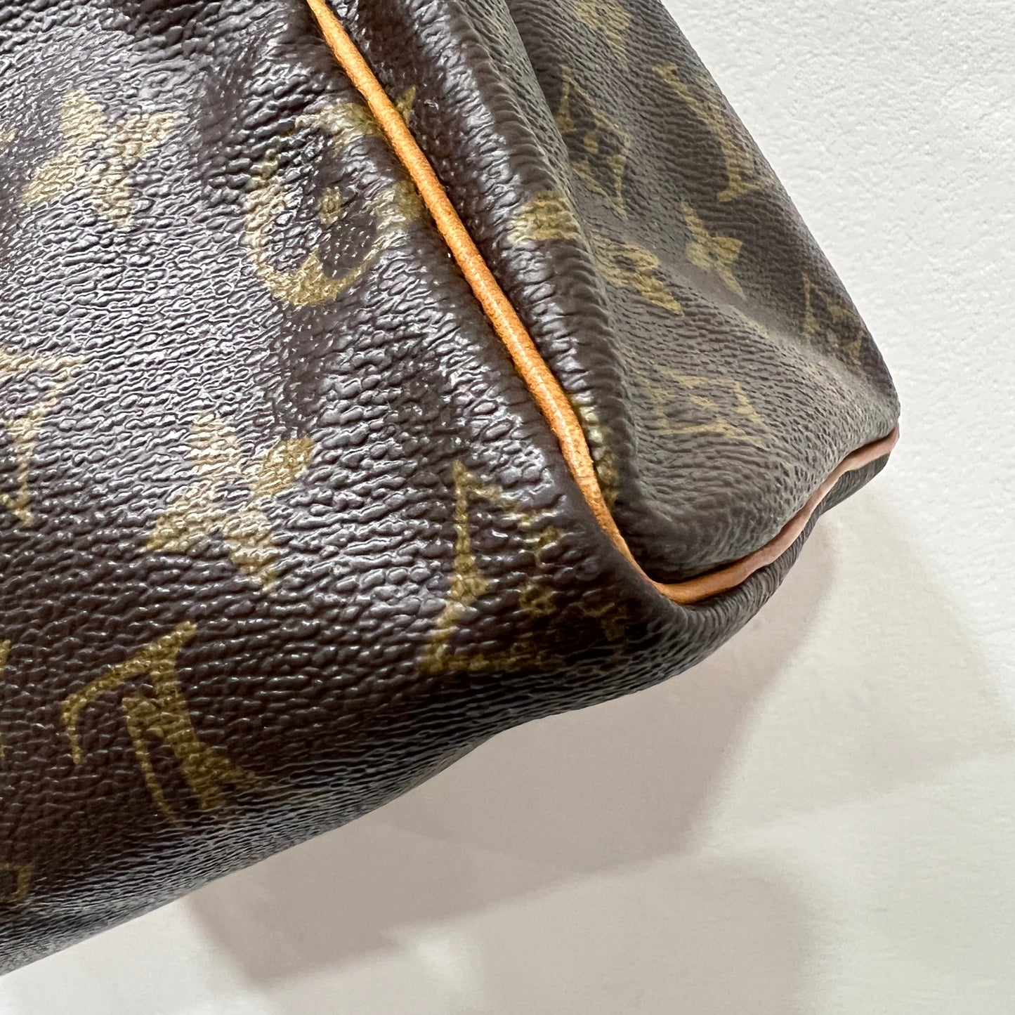 LOUIS VUITTON Speedy 25cm