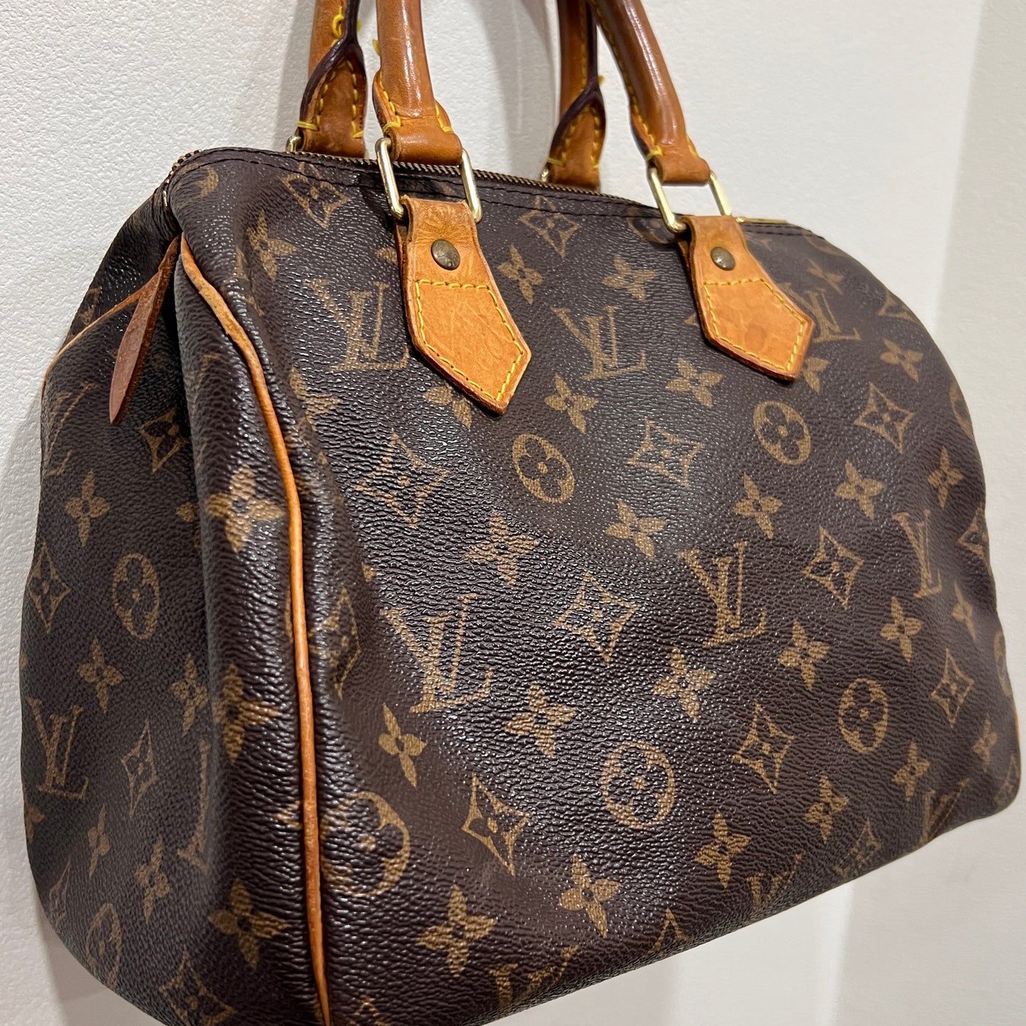 LOUIS VUITTON Speedy 25 cm