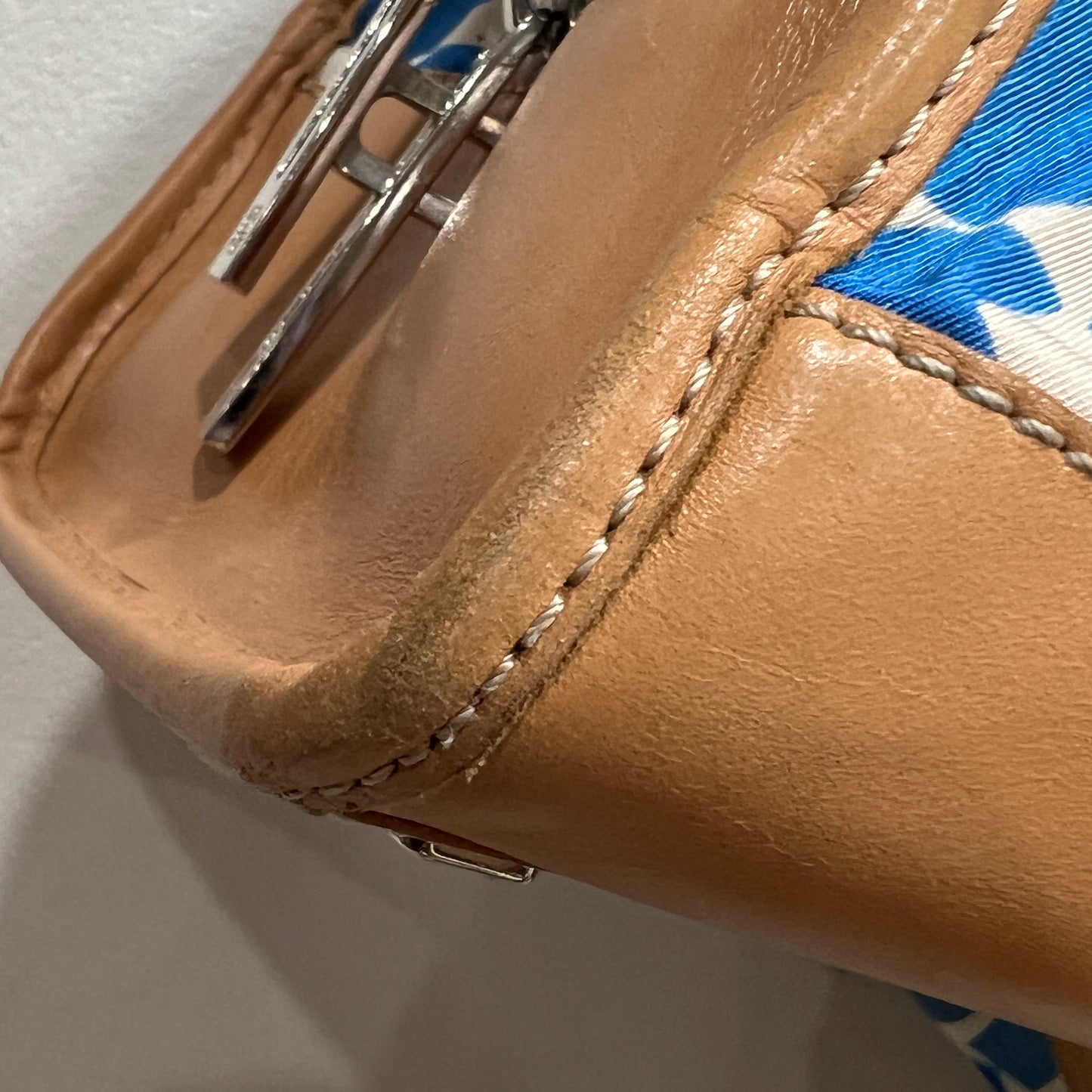 LOEWE Amazona in Blue