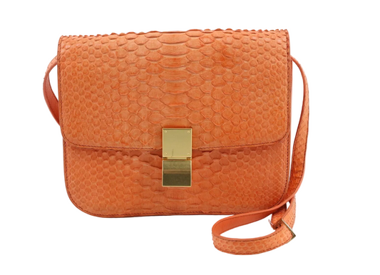 CELINE Phyton Box Shoulder Bag