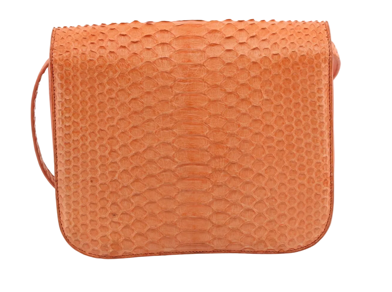 CELINE Phyton Box Shoulder Bag