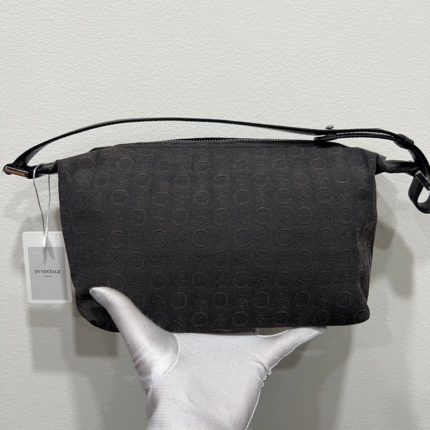 CELINE Black Triomphe Canvas