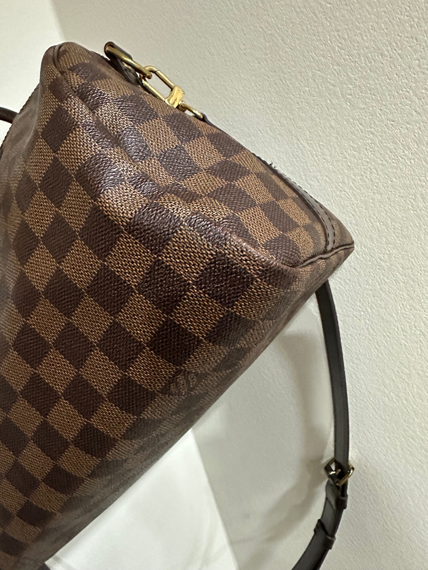 Louis Vuitton damie speedy 30 (2642905)
