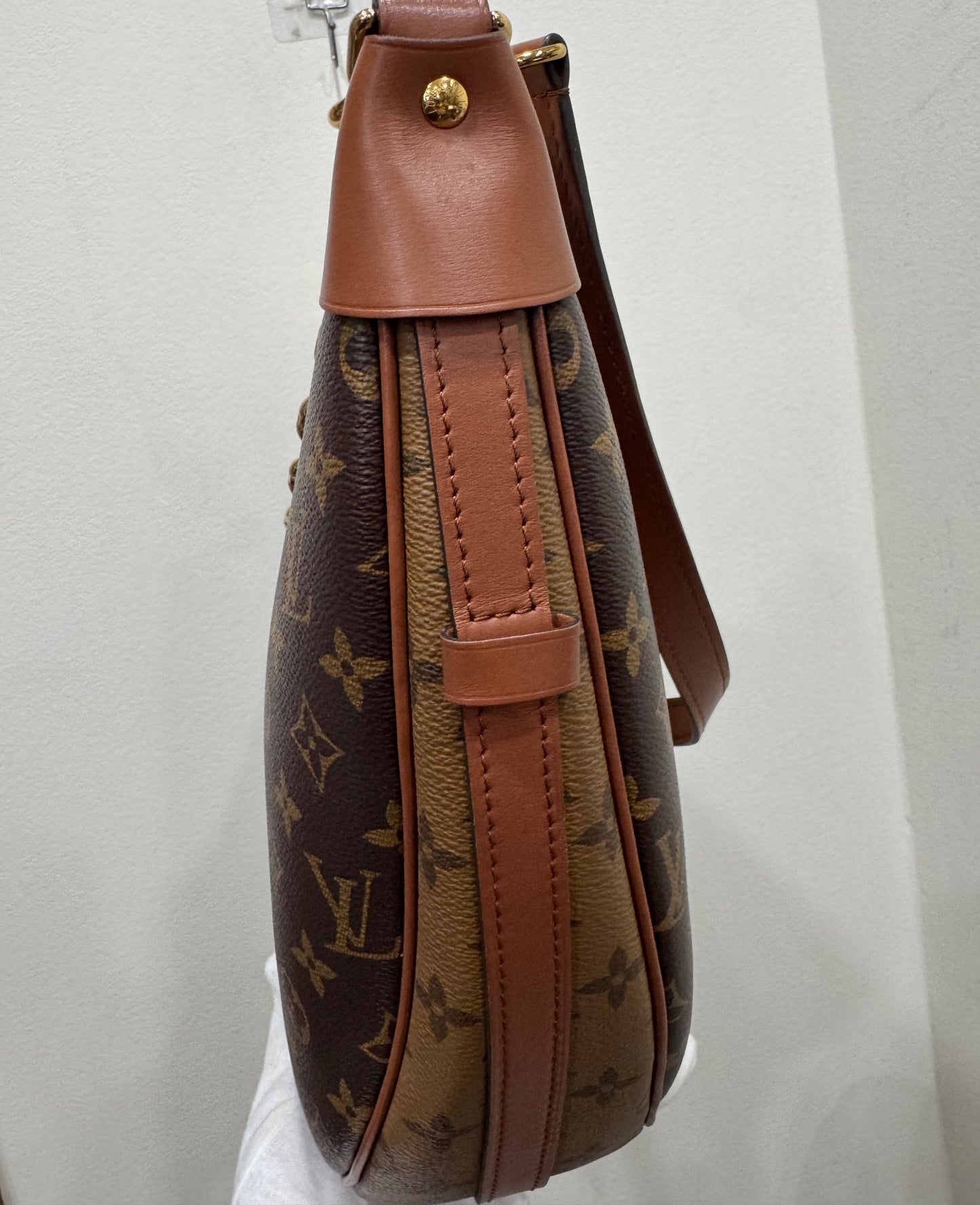 Louis Vuitton Reserve  Monogram Loop  Hobo