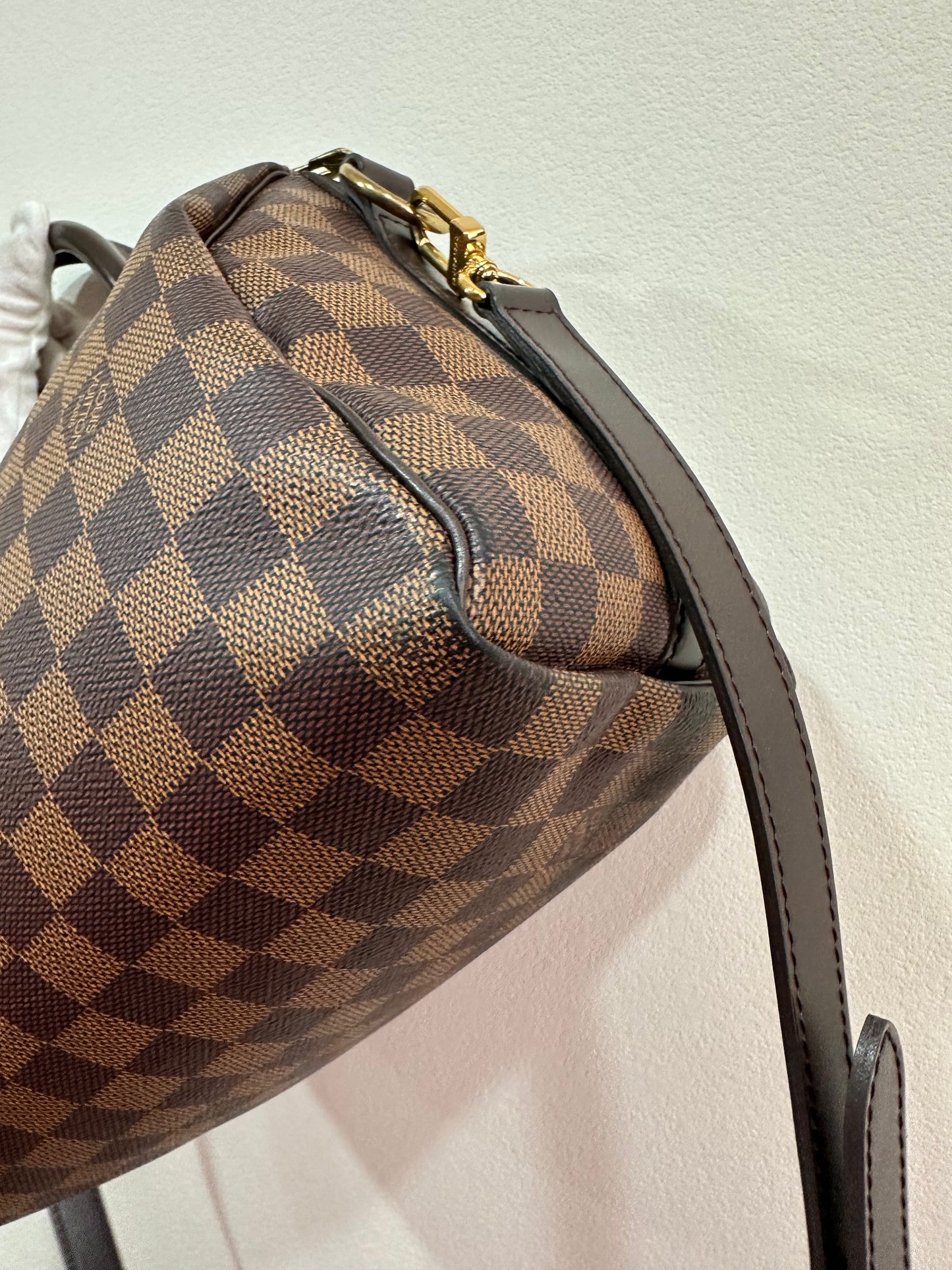 Louis Vuitton damie speedy 25
