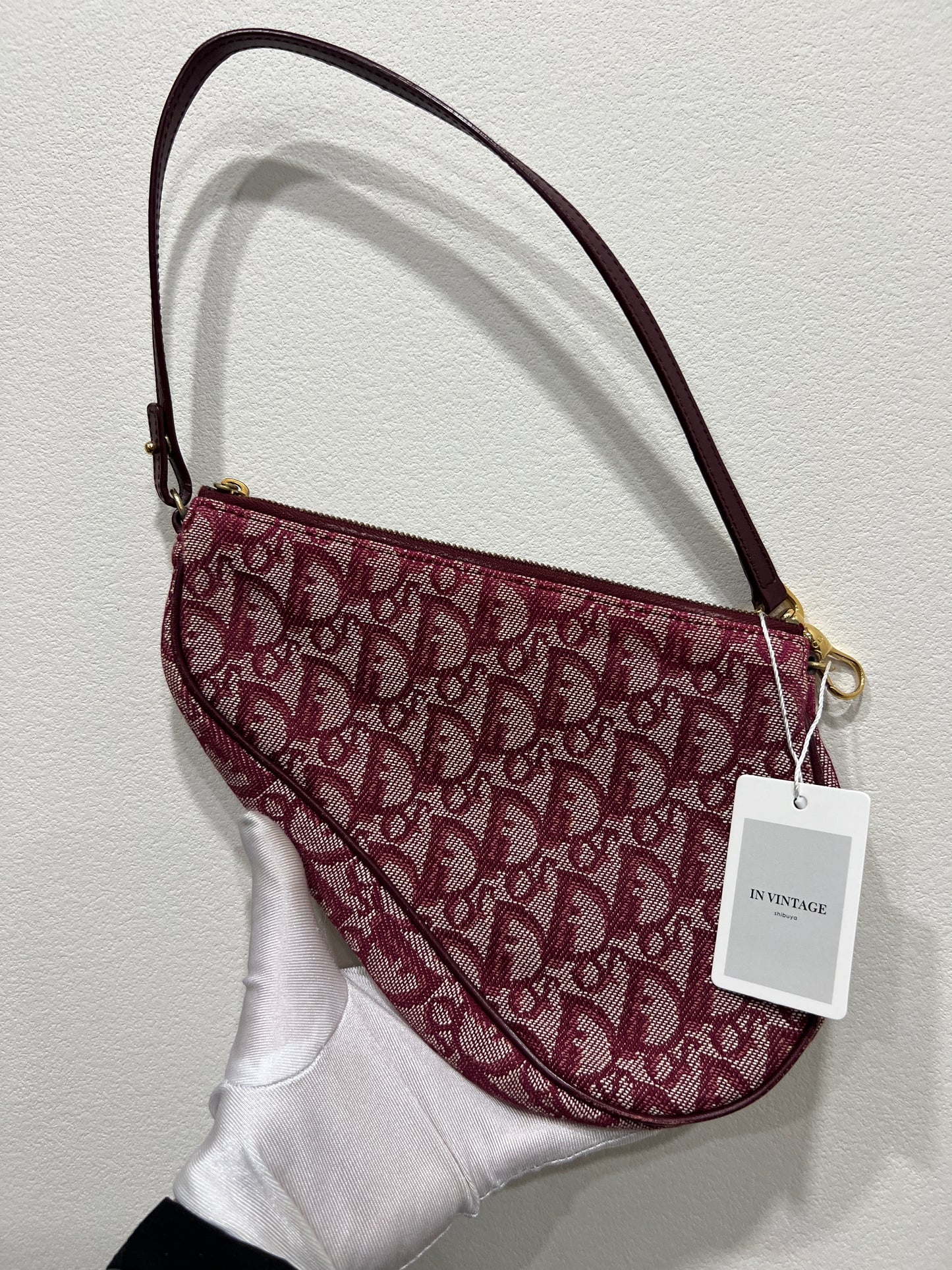 DIOR Saddle Red