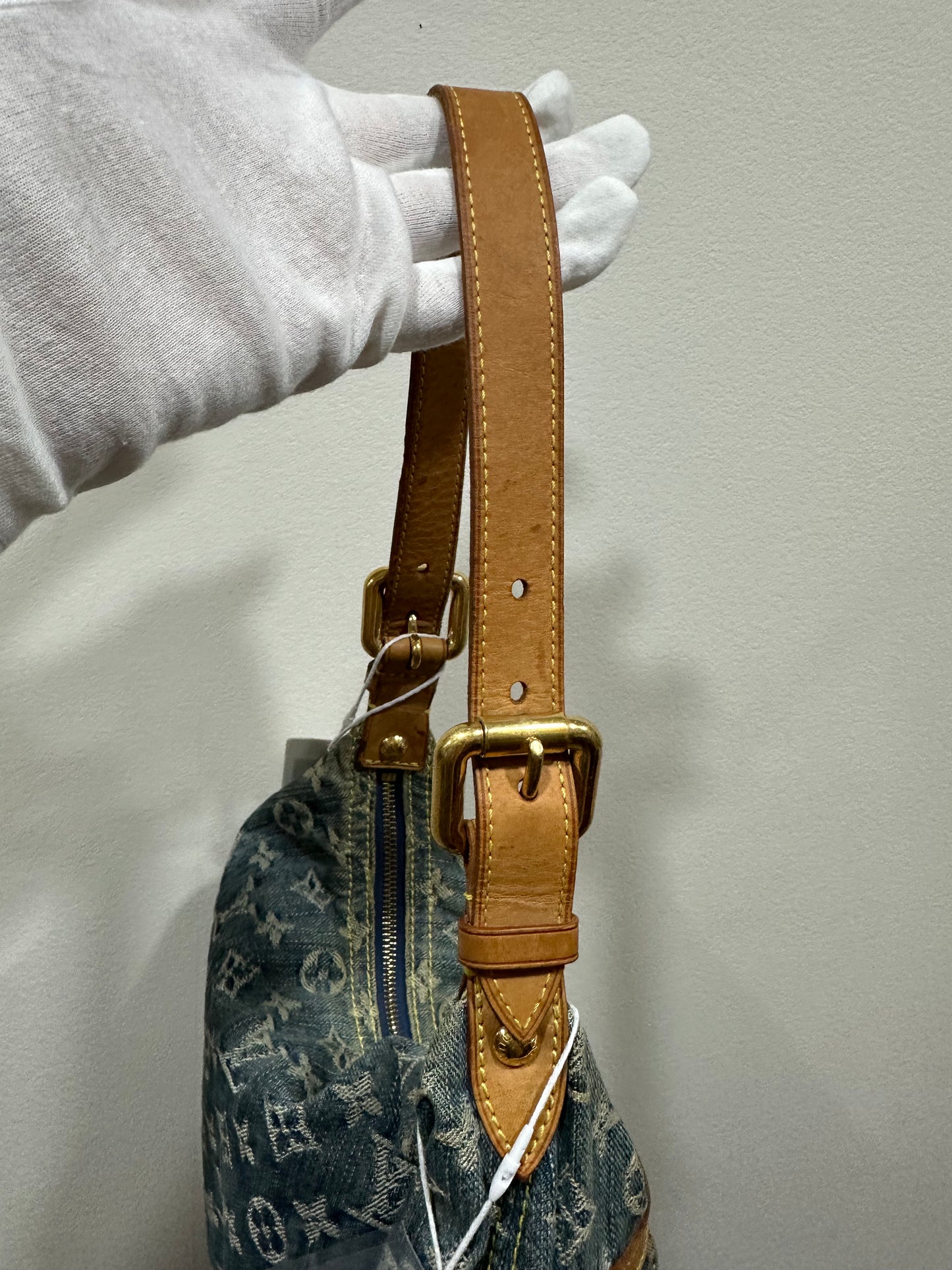 Louis Vuitton Monogram Denim Baggy PM