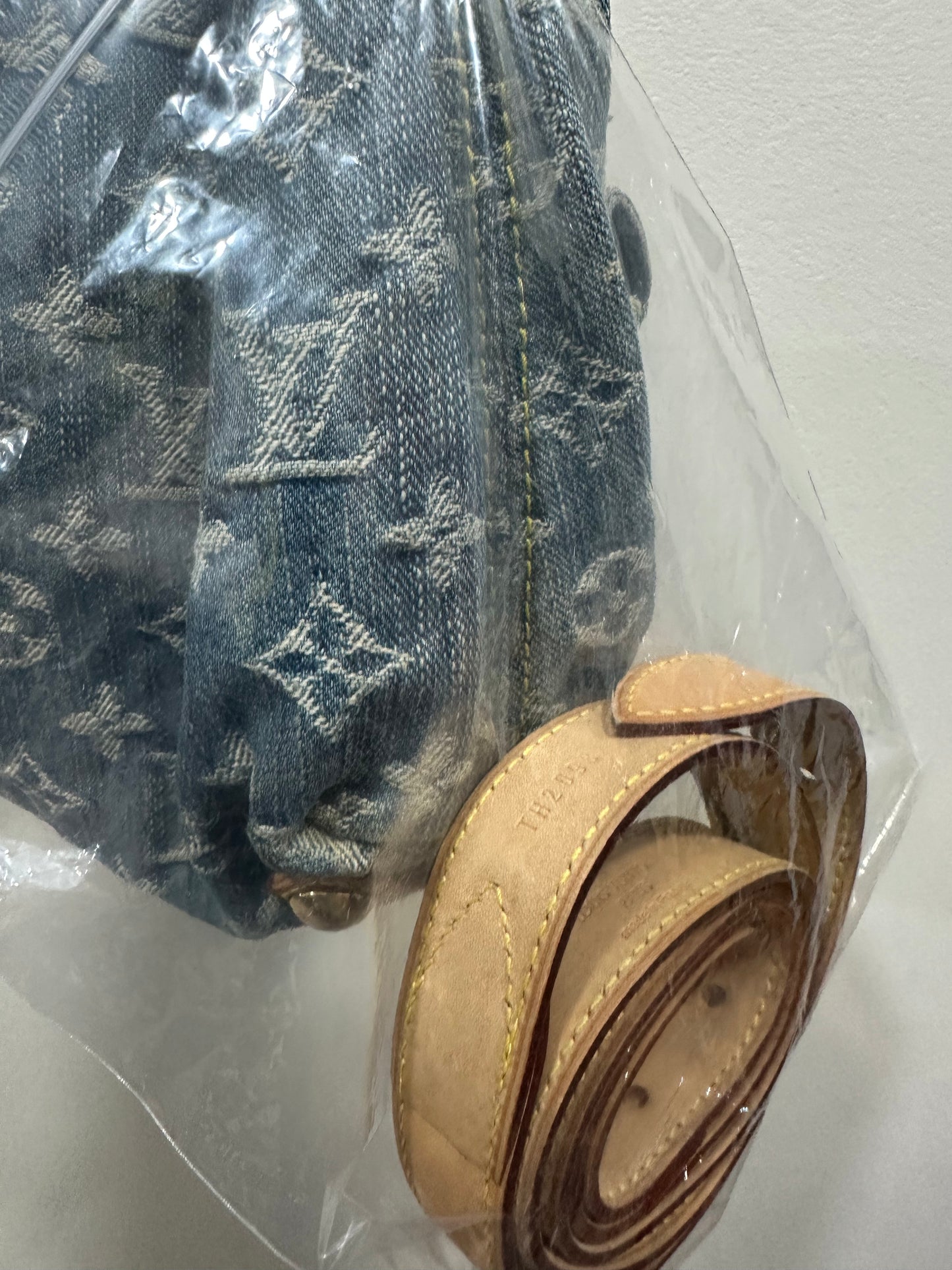 Louis Vuitton Monogram Denim Baggy PM