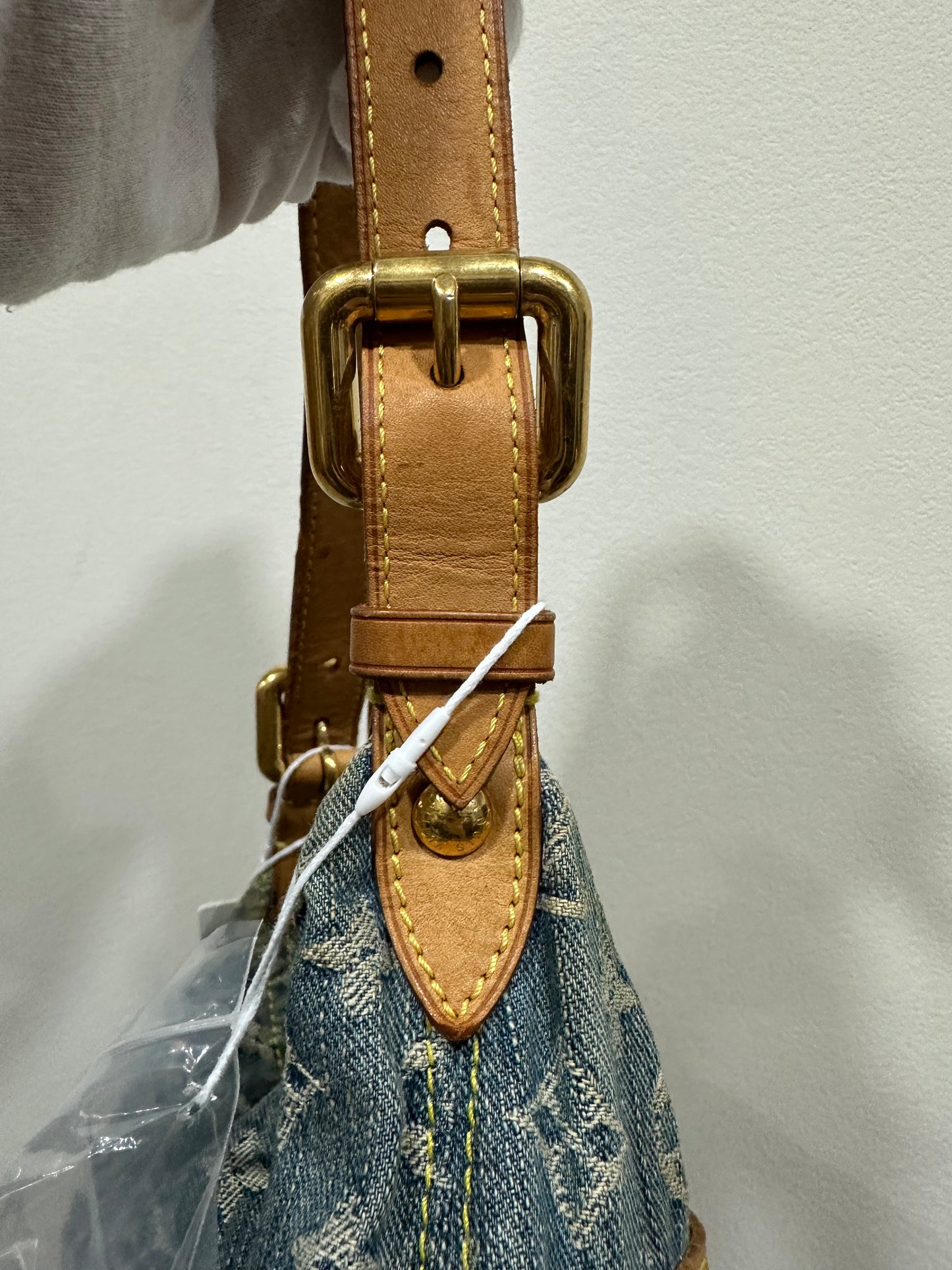 Louis Vuitton Monogram Denim Baggy PM
