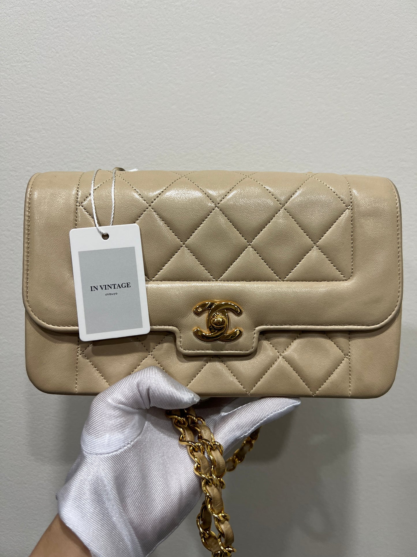 CHANEL DIANA Shoulder Bag