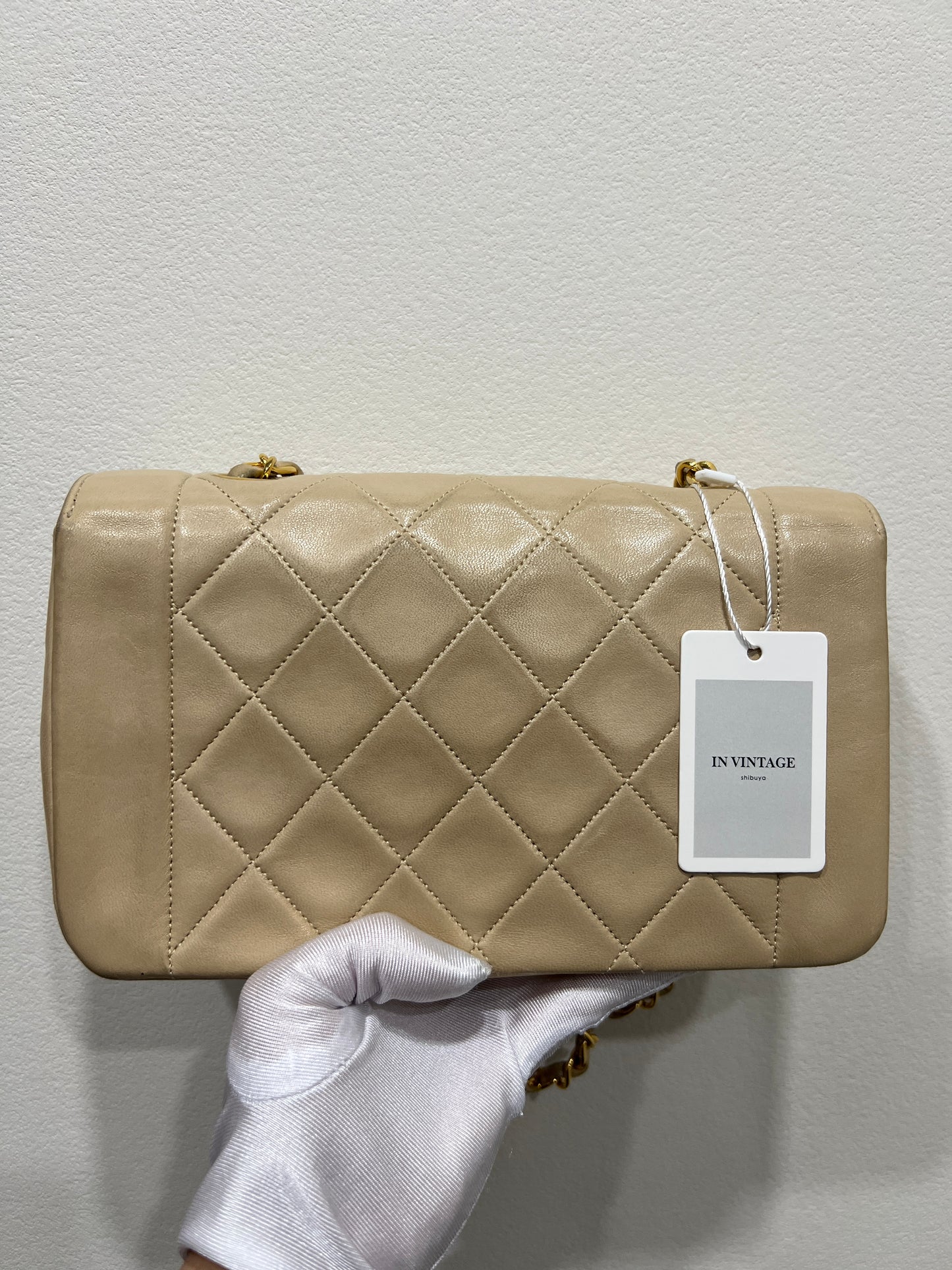 CHANEL DIANA Shoulder Bag
