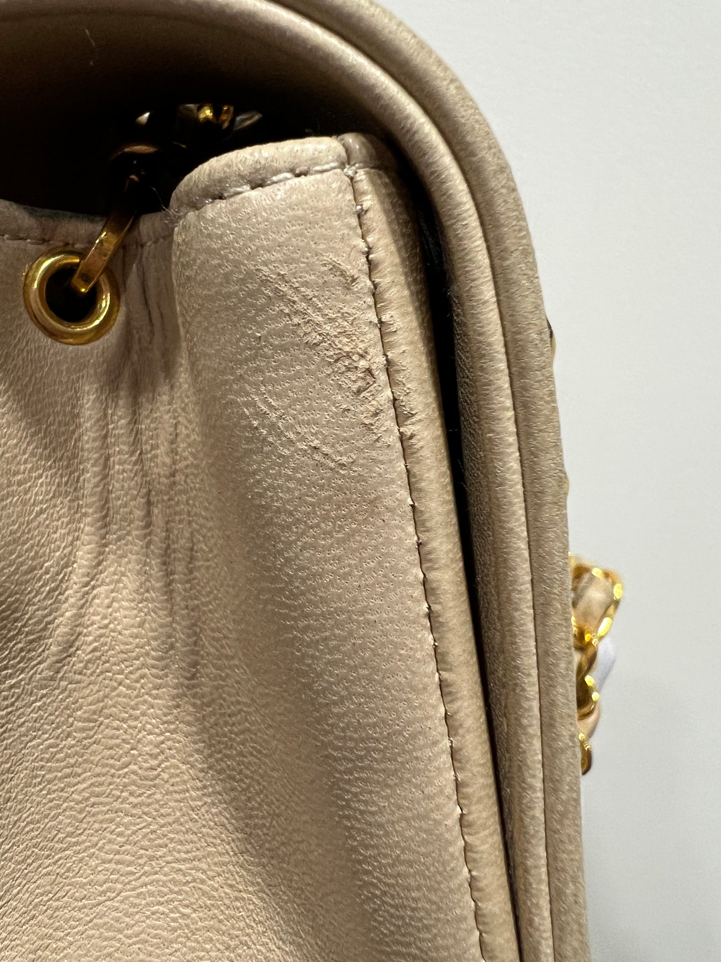 CHANEL DIANA Shoulder Bag