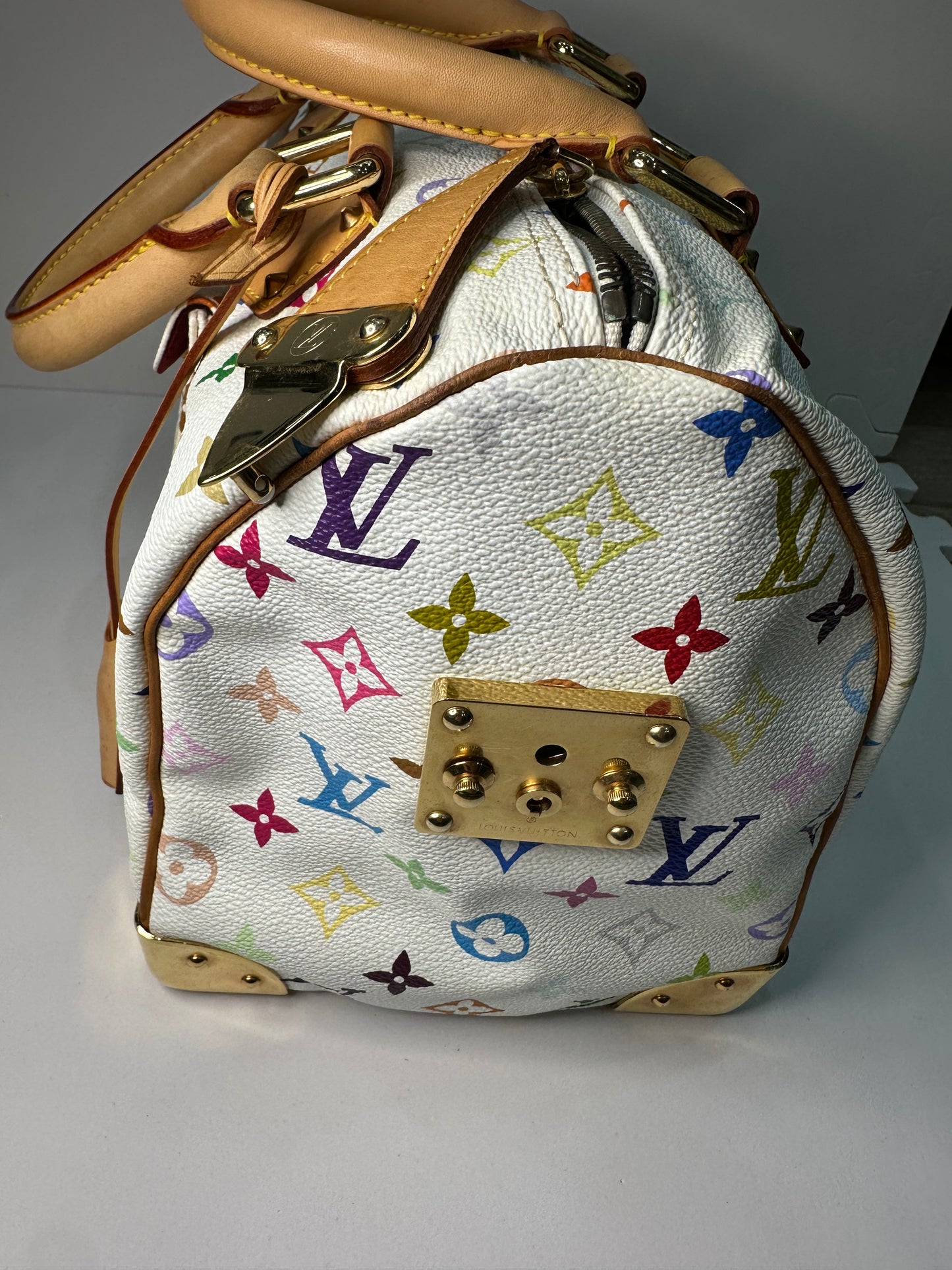 Louis Vuitton Murakami speedy30 multicolor