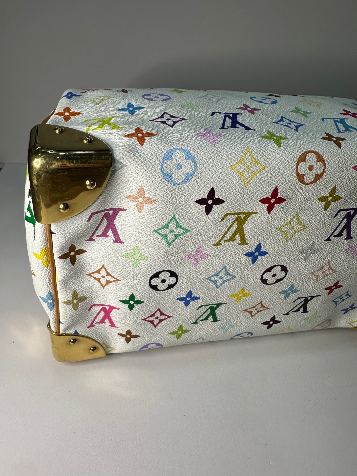 Louis Vuitton Murakami speedy30 multicolor