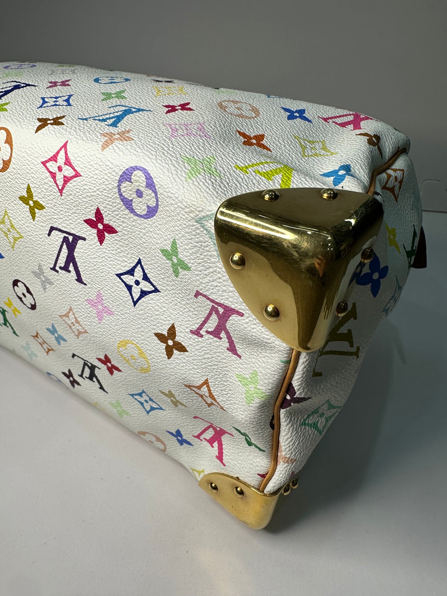 Louis Vuitton Murakami speedy30 multicolor