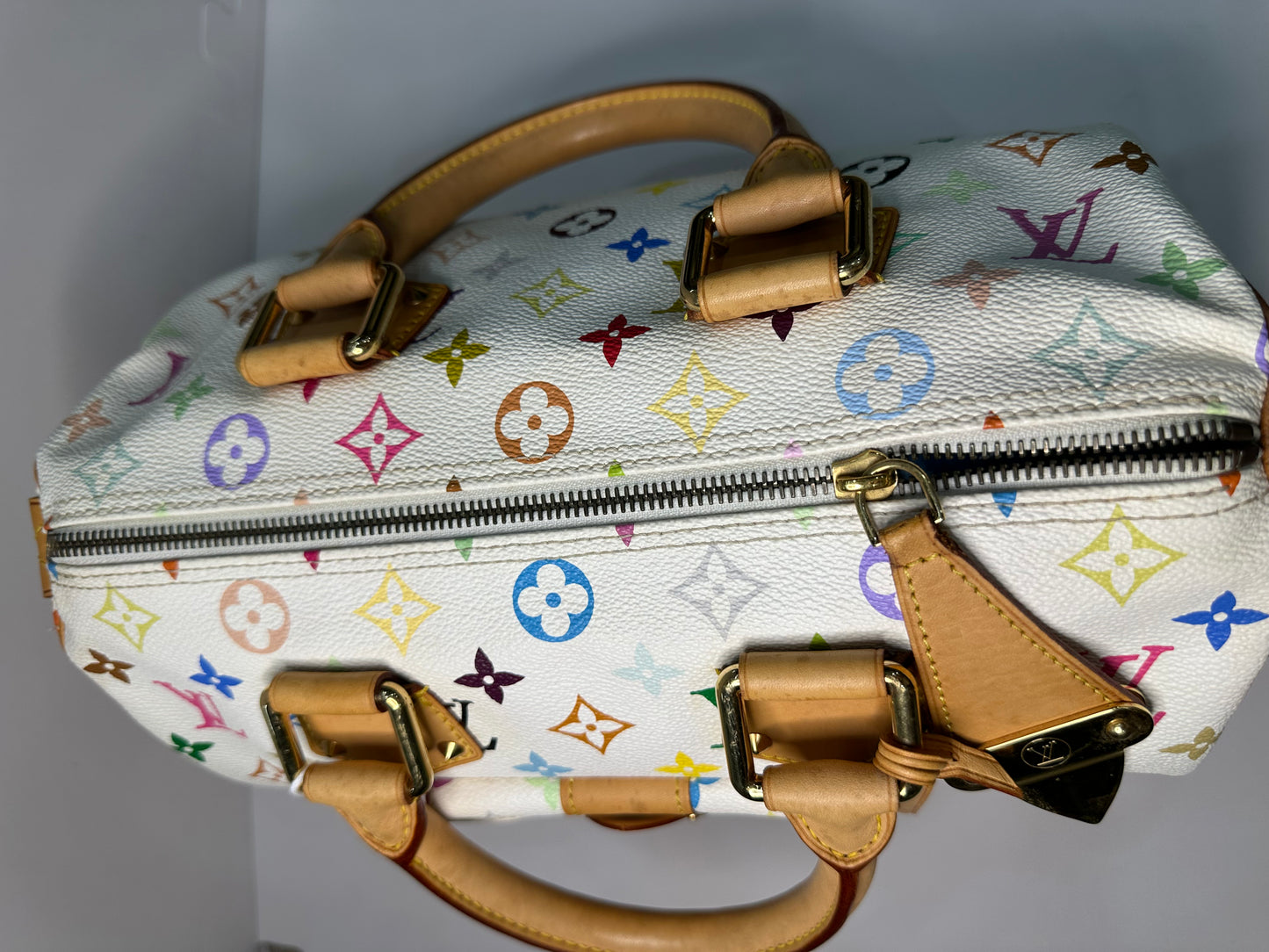 Louis Vuitton Murakami speedy30 multicolor