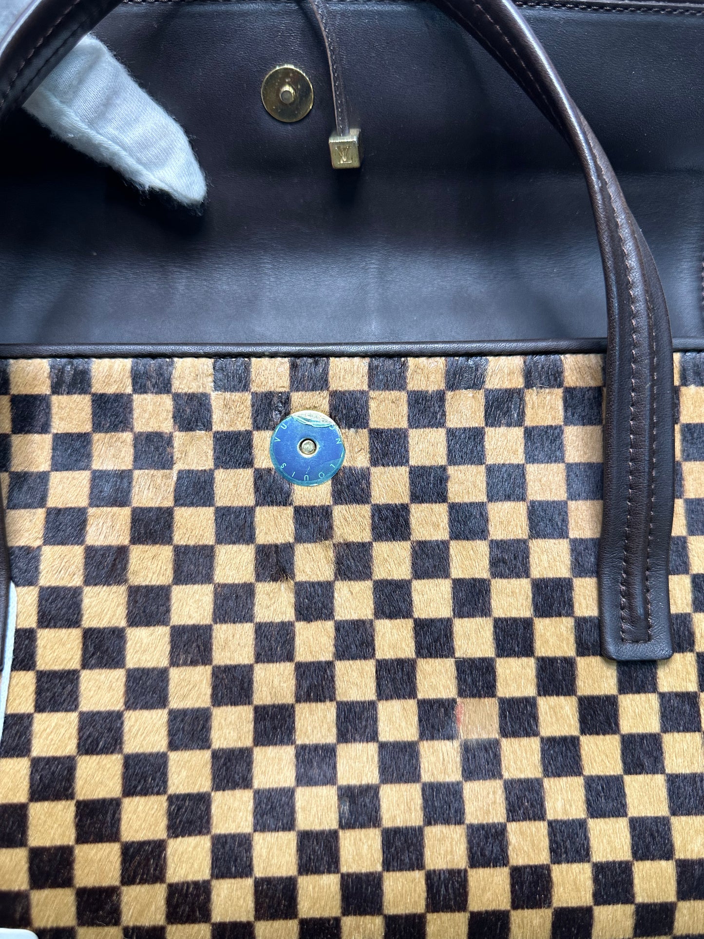 Louis Vuitton Limited Collection Damier Sauvage Lionne Bag
