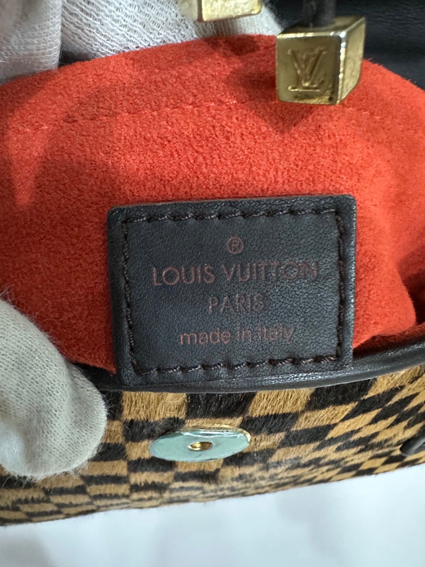 Louis Vuitton Limited Collection Damier Sauvage Lionne Bag