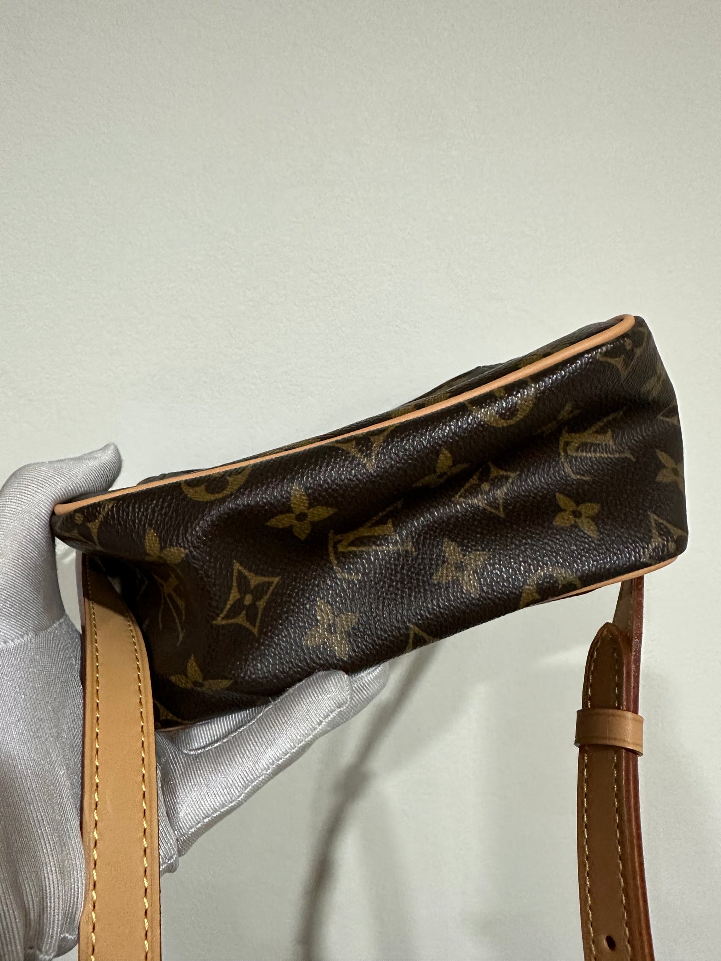 Louis Vuitton Viva cite PM