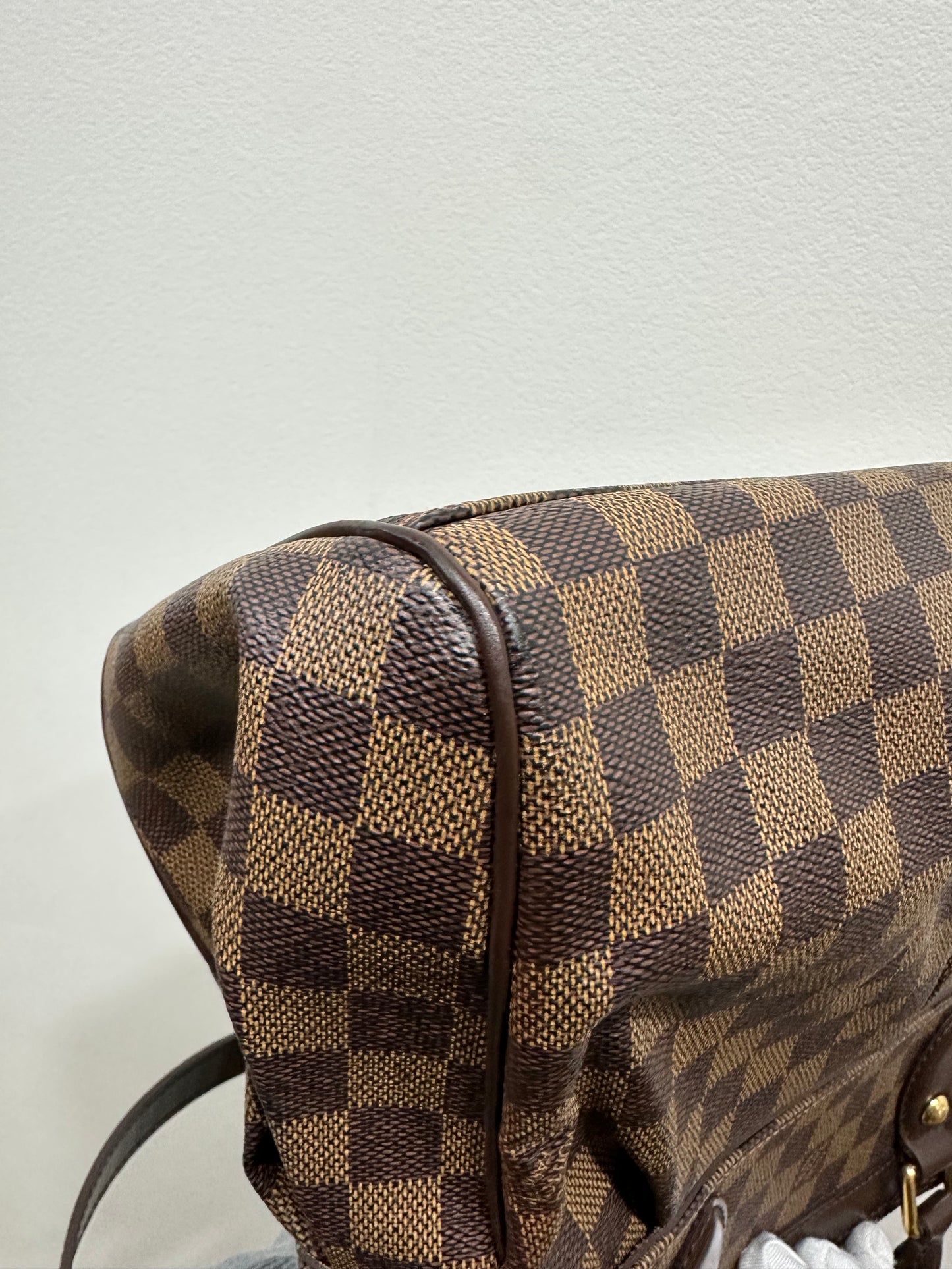 Louis Vuitton damier trevi