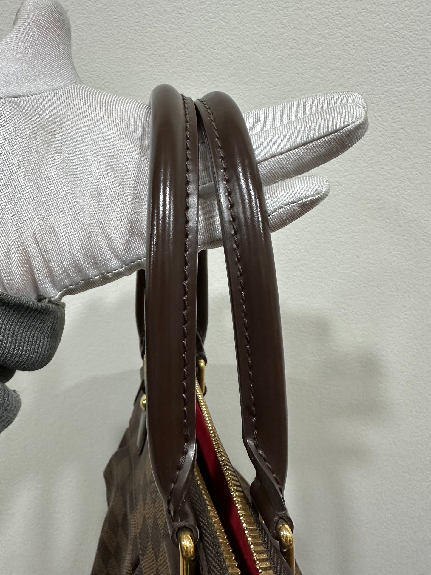 Louis Vuitton damier trevi