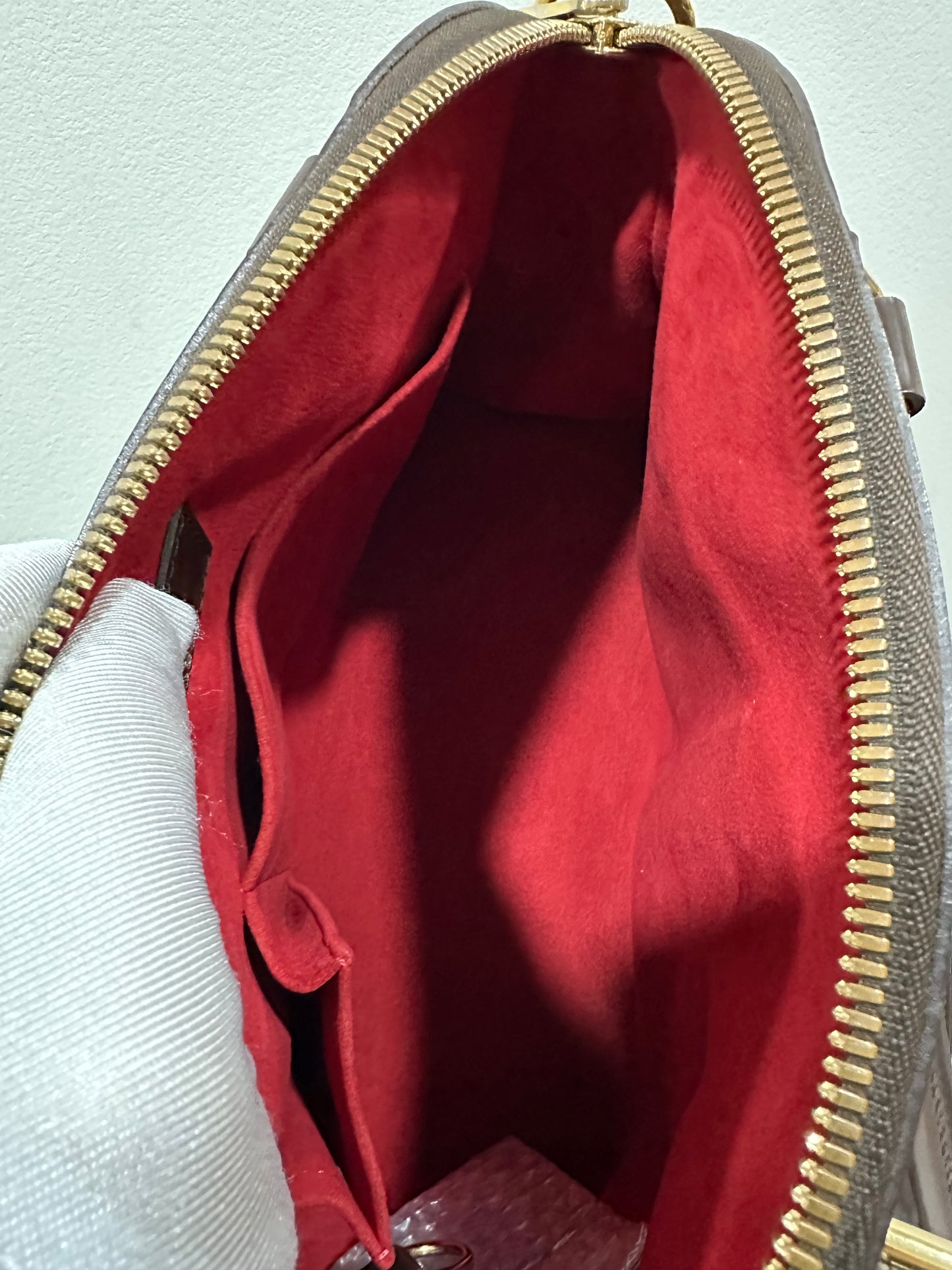 Louis Vuitton damier trevi