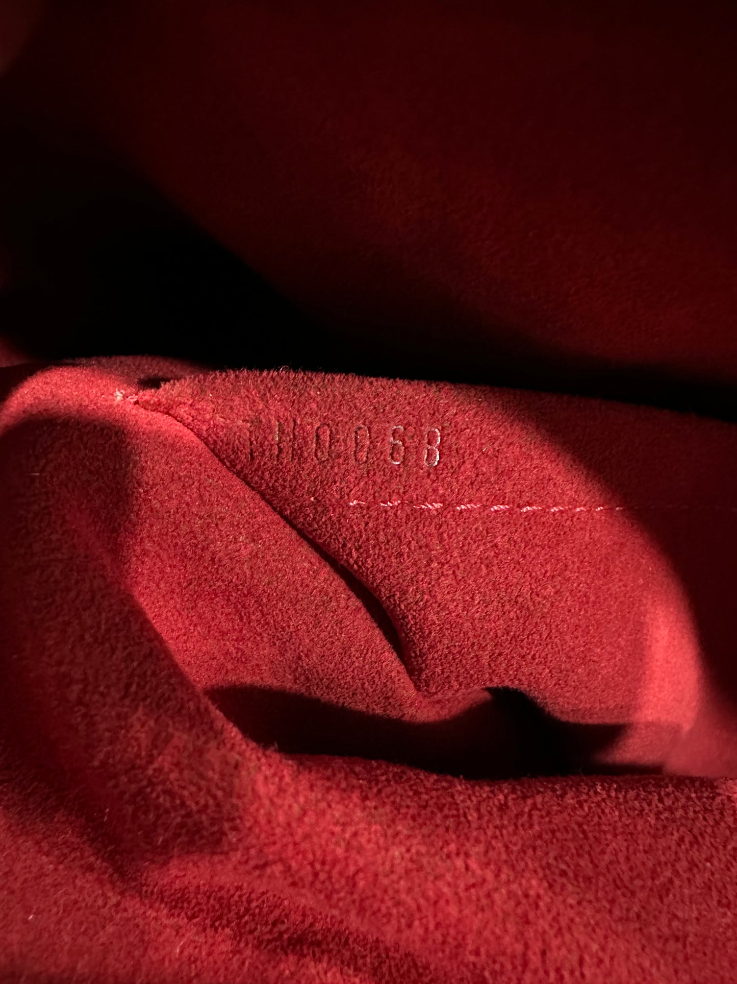 Louis Vuitton damier trevi