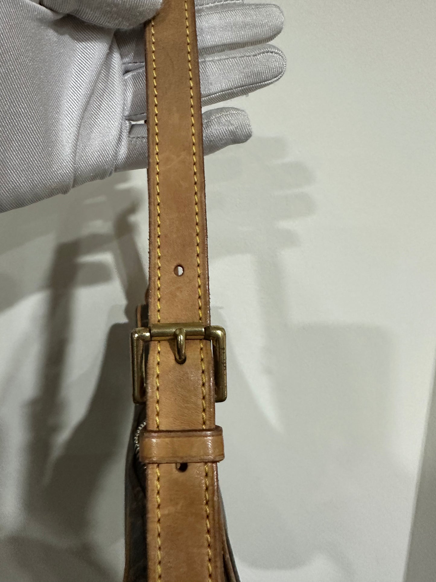 Louis Vuitton Croissant PM