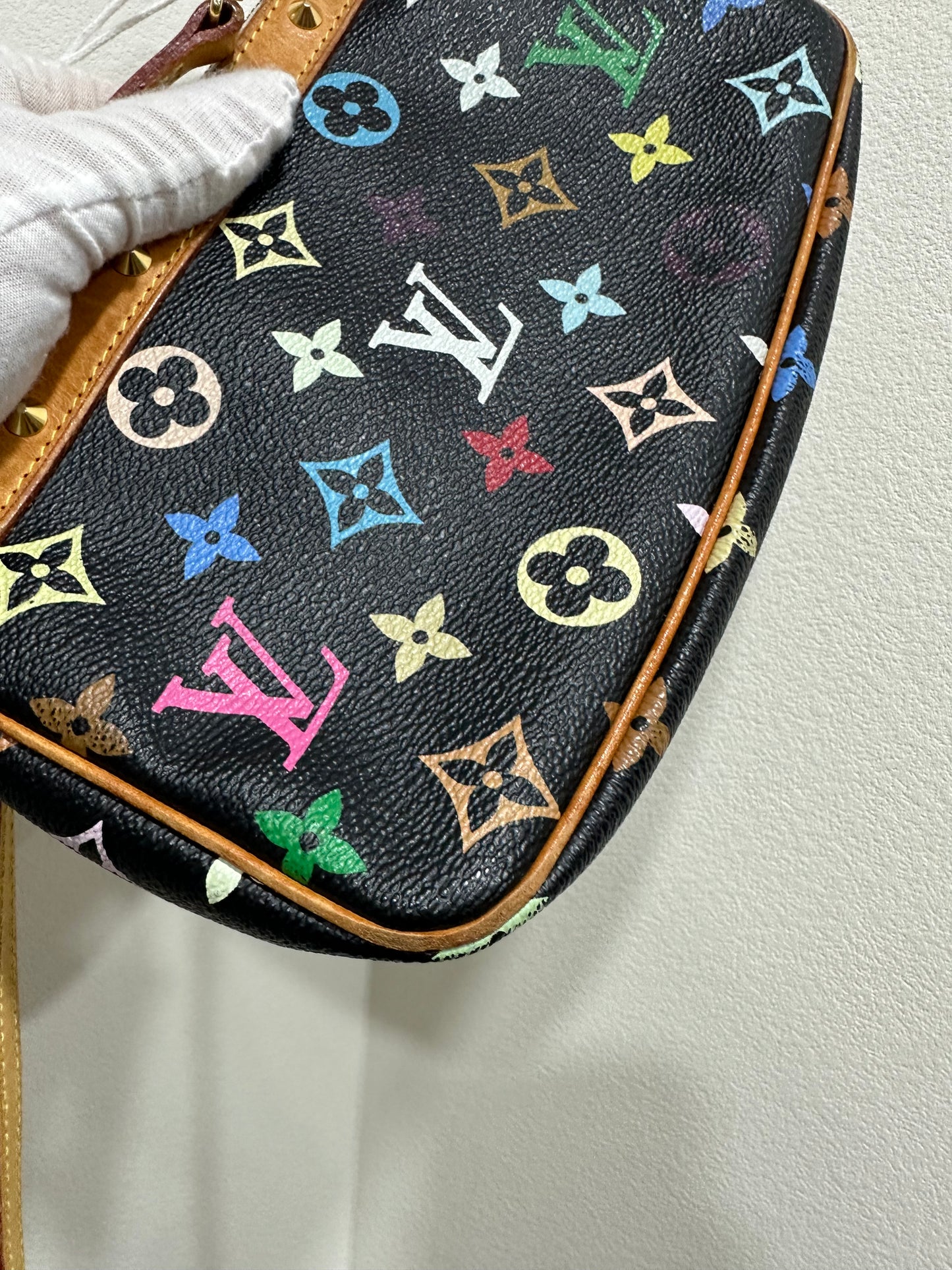 Louis Vuitton Murakami multicolor accessories