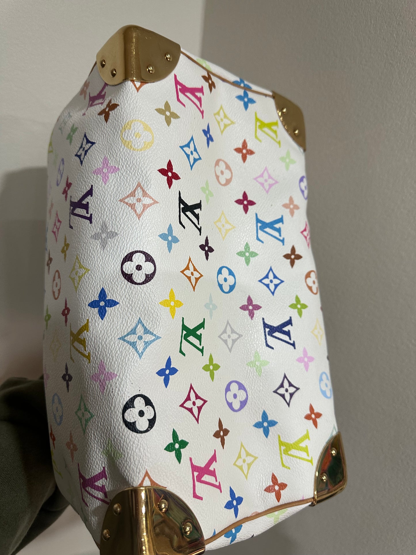 Louis Vuitton Murakami speedy30 multi color