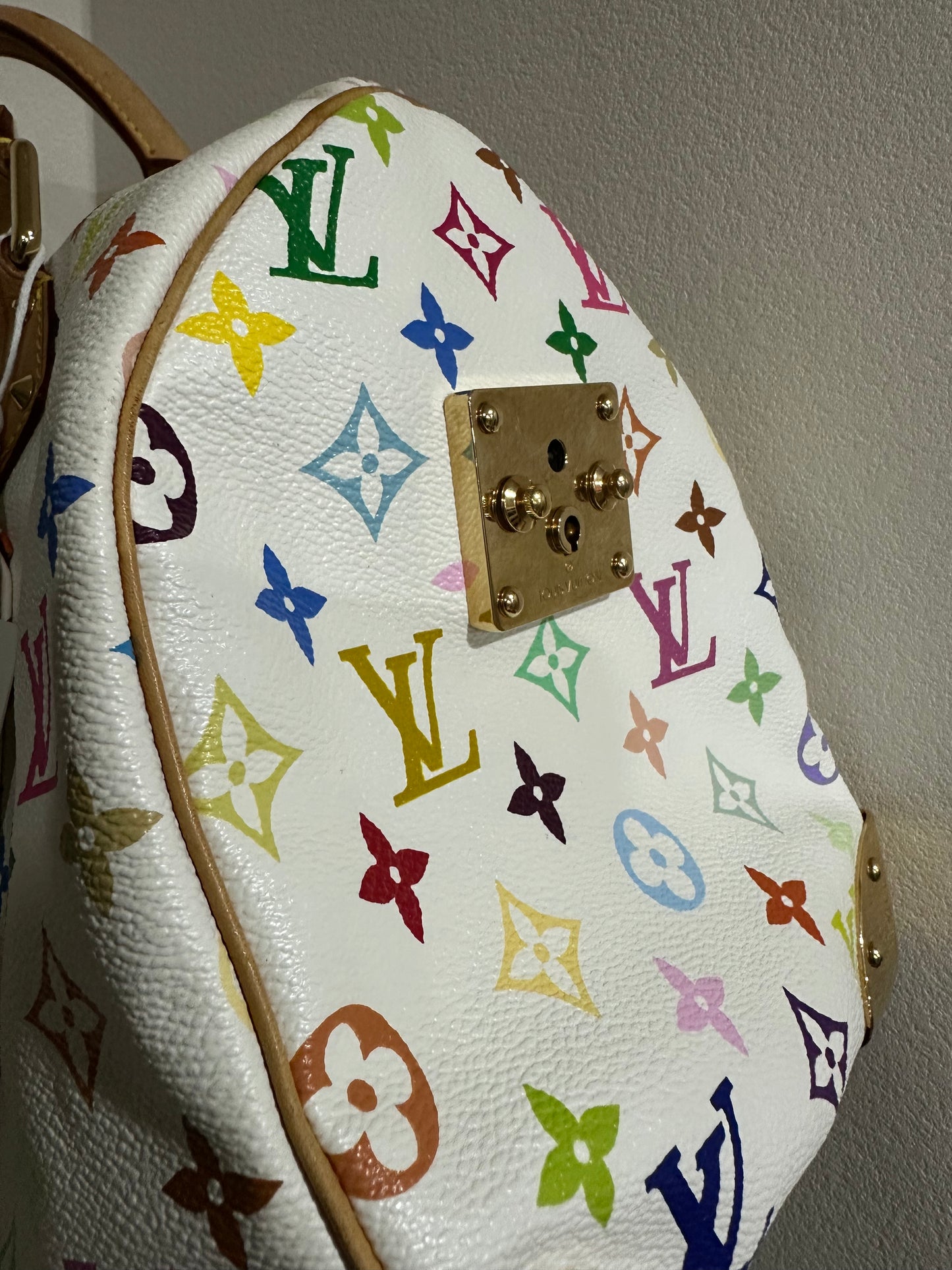 Louis Vuitton Murakami speedy30 multi color